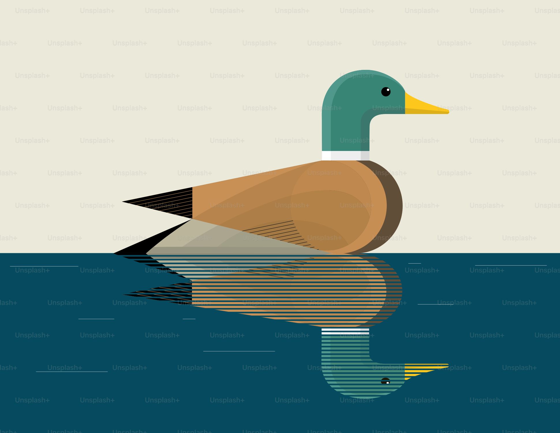 Un pato flotando sobre un cuerpo de agua