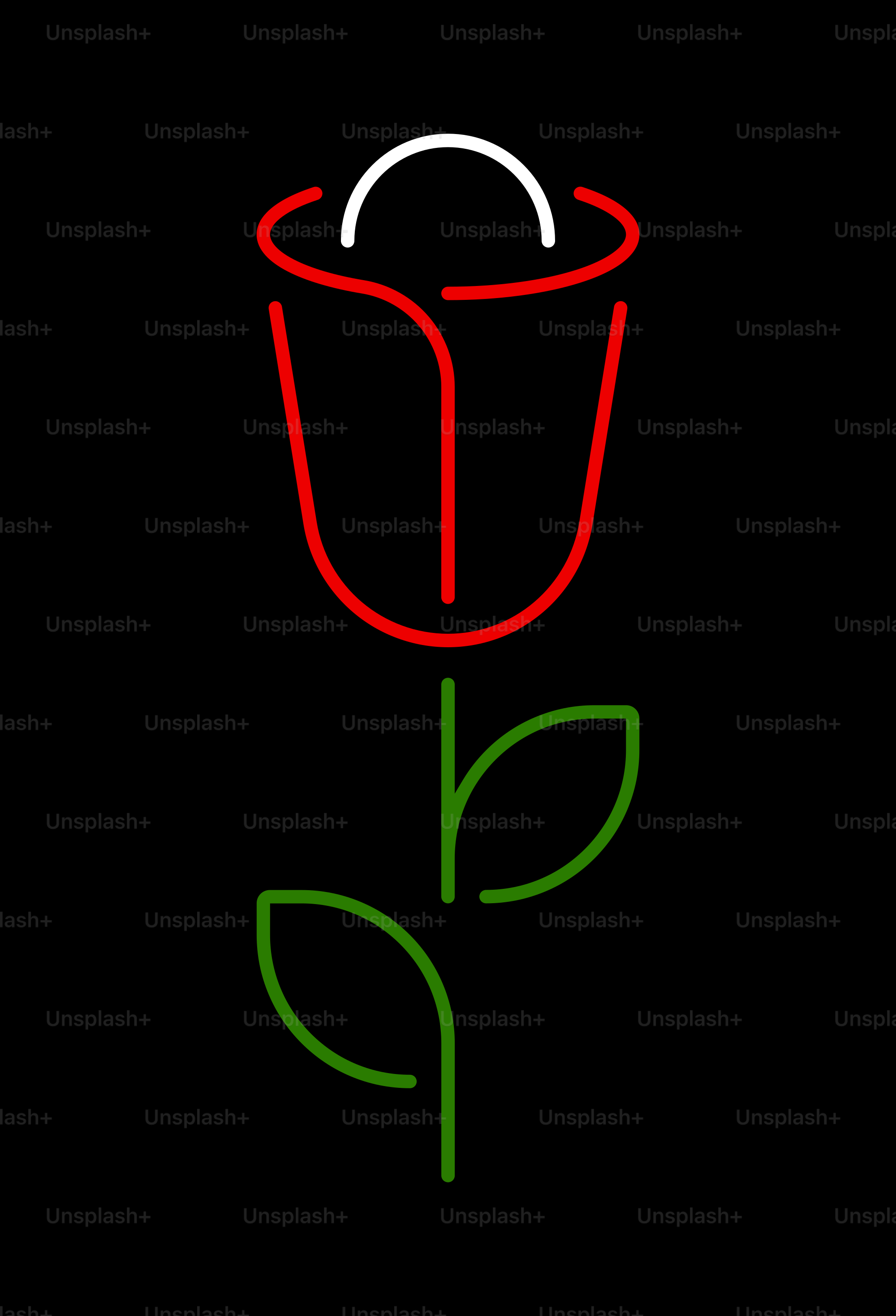 Una rosa roja con un tallo verde sobre fondo negro