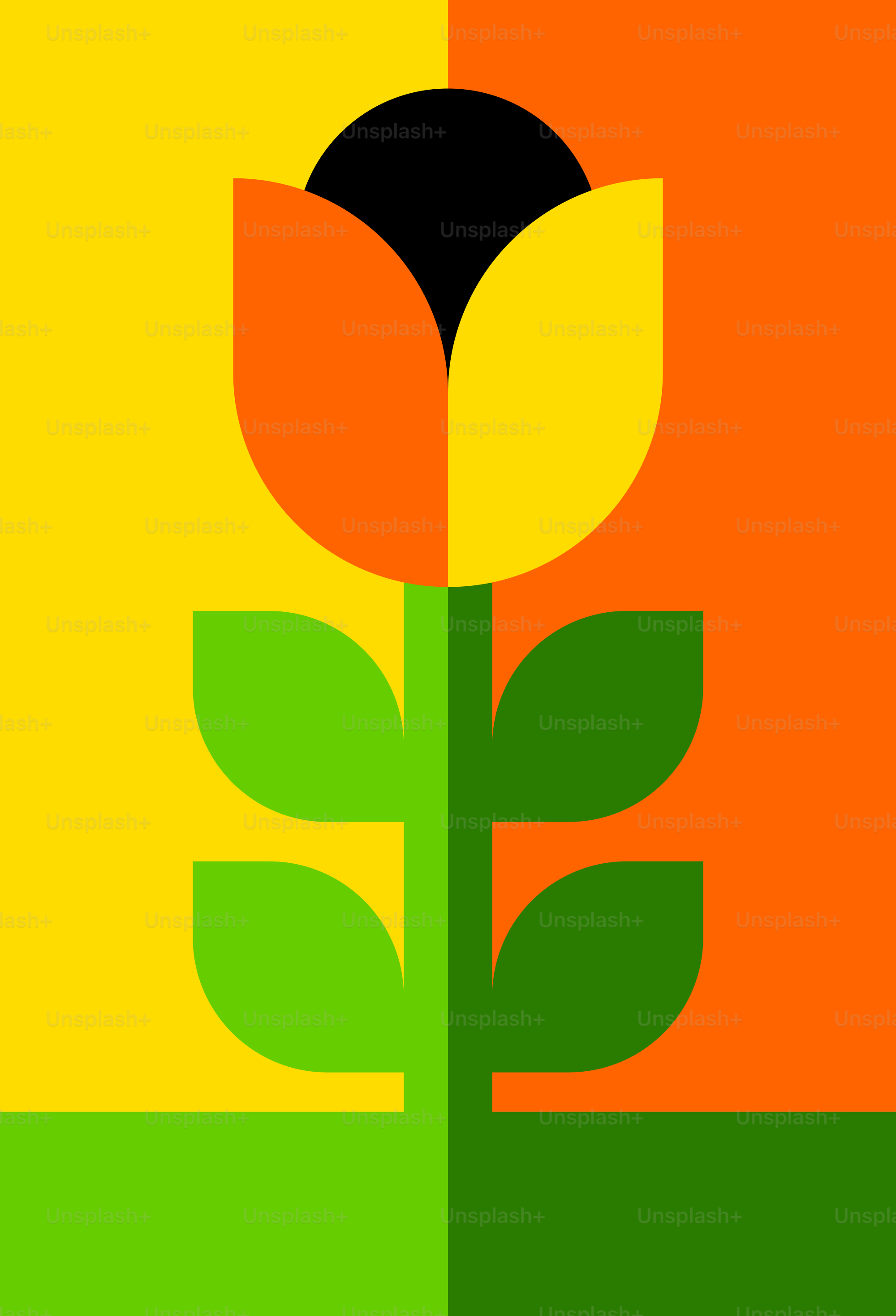 A picture of a flower on a multicolored background