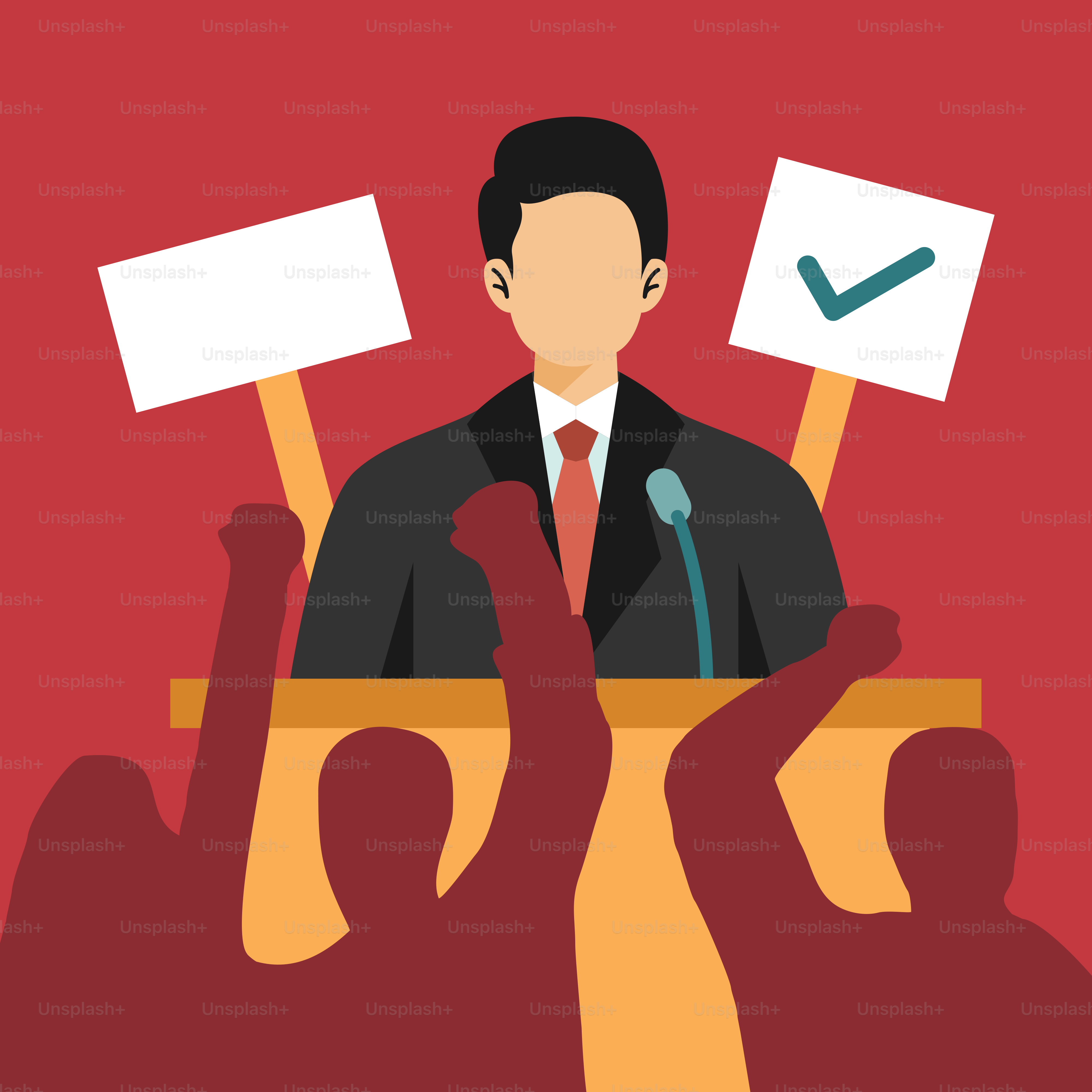 Representative Democracy