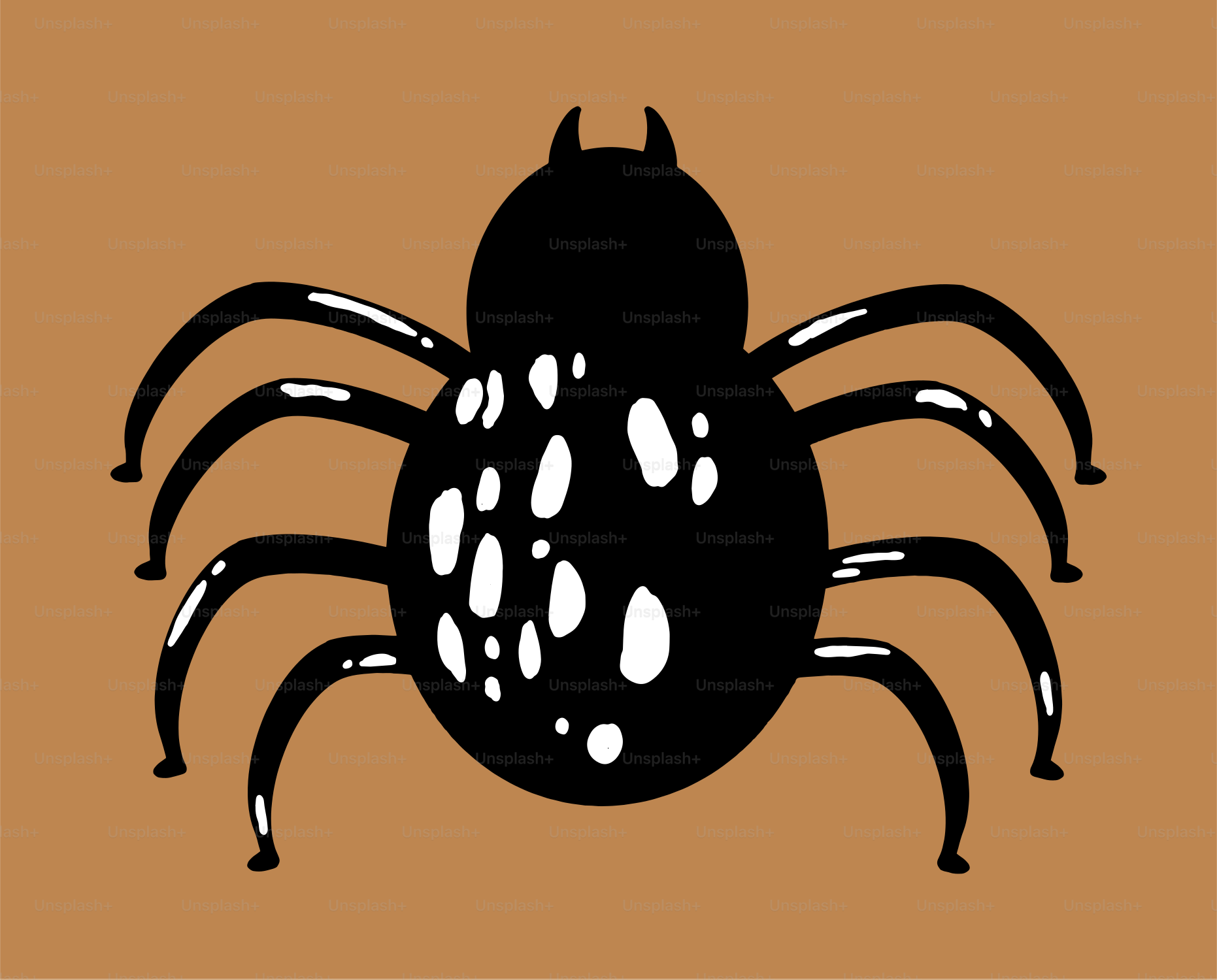 A black and white spider on a brown background
