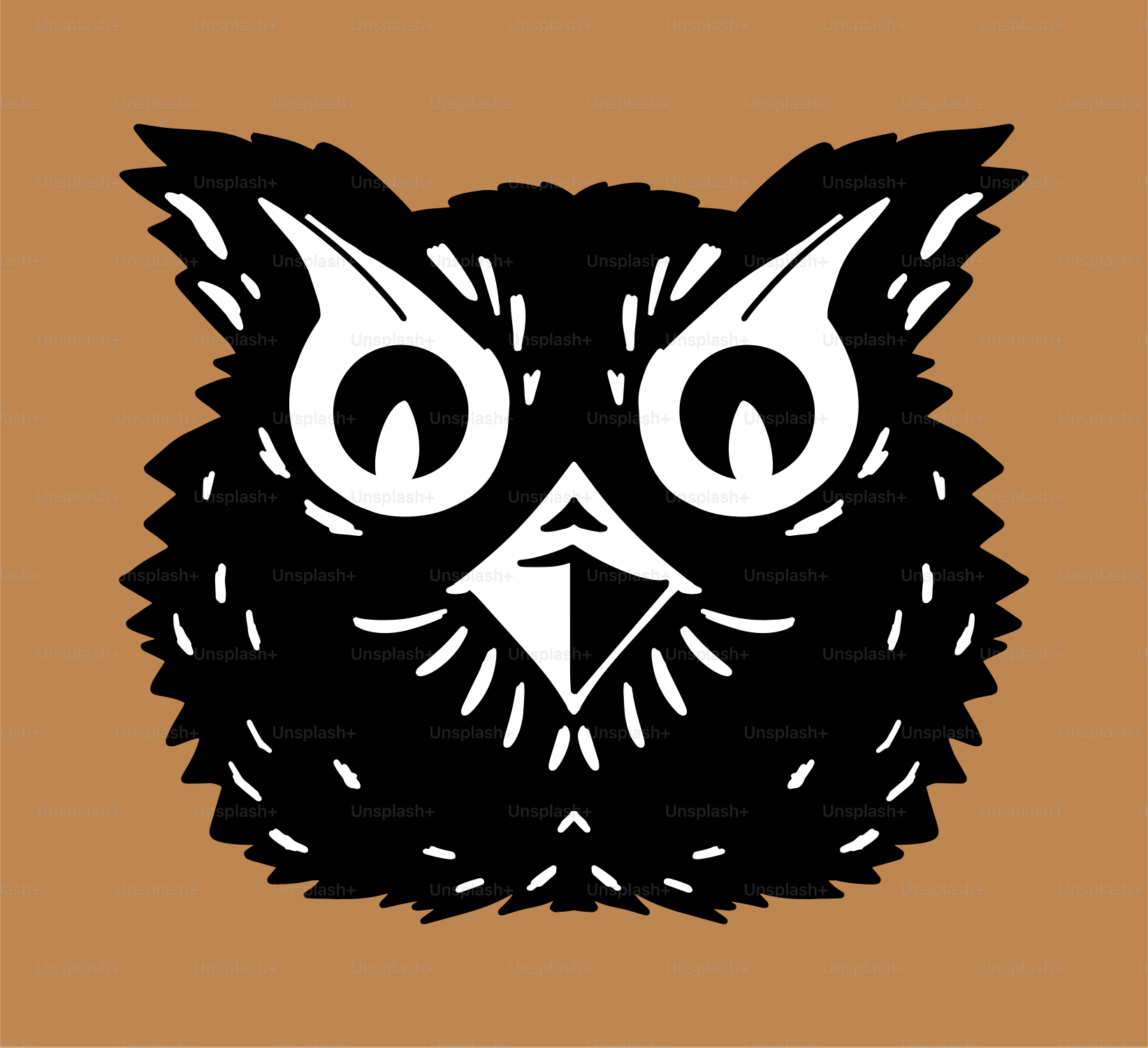 A black and white picture of an owl's face