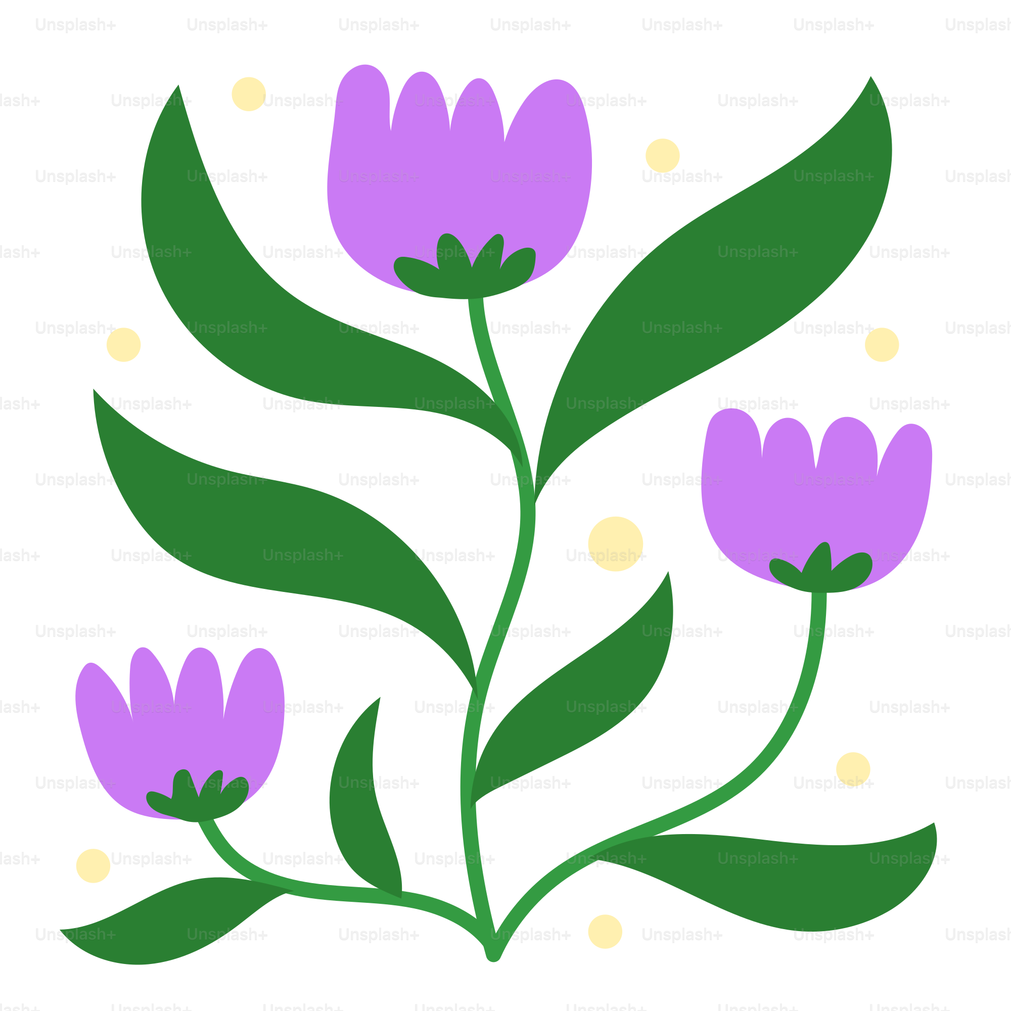 A purple flower with green leaves on a white background