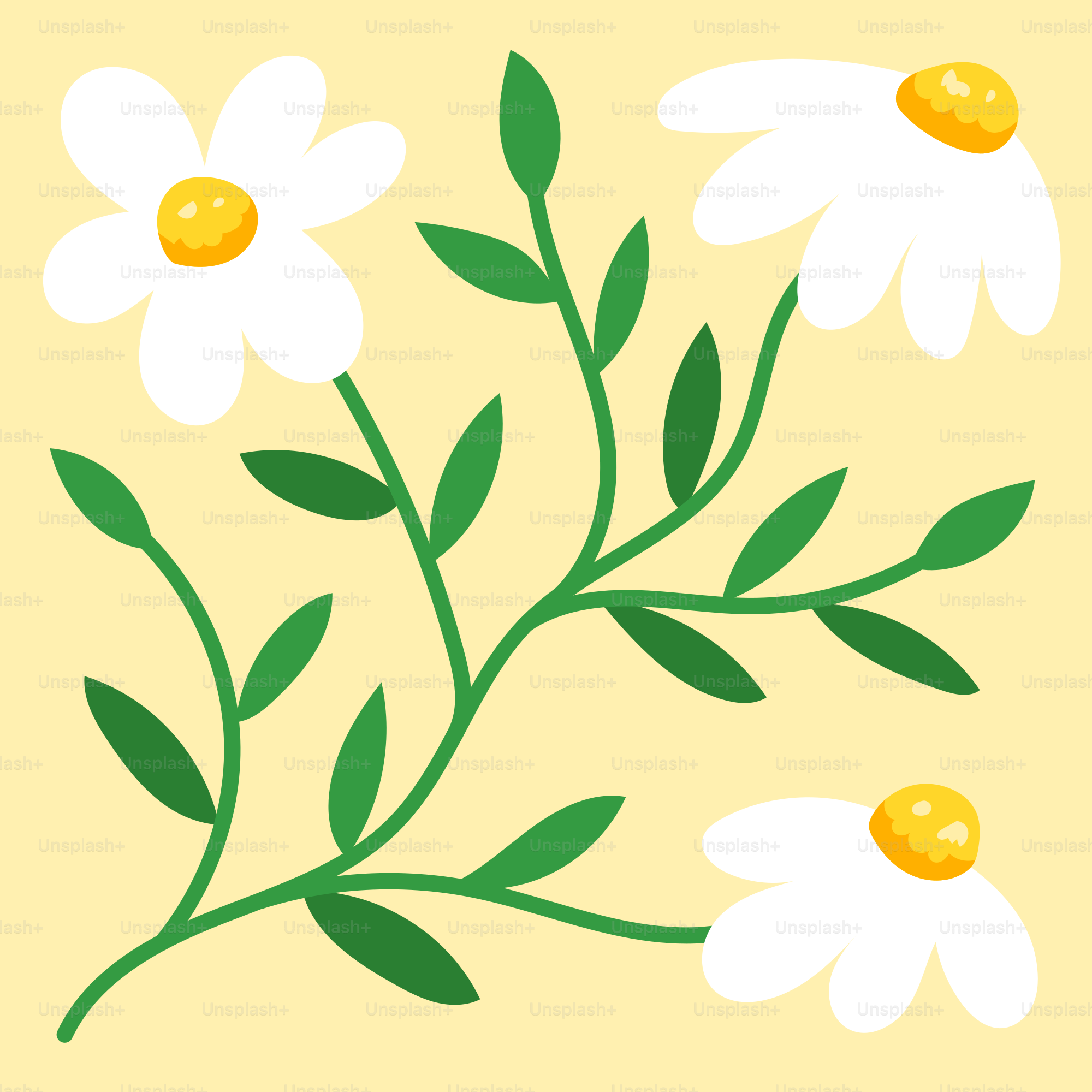Une carte avec des marguerites sur fond jaune