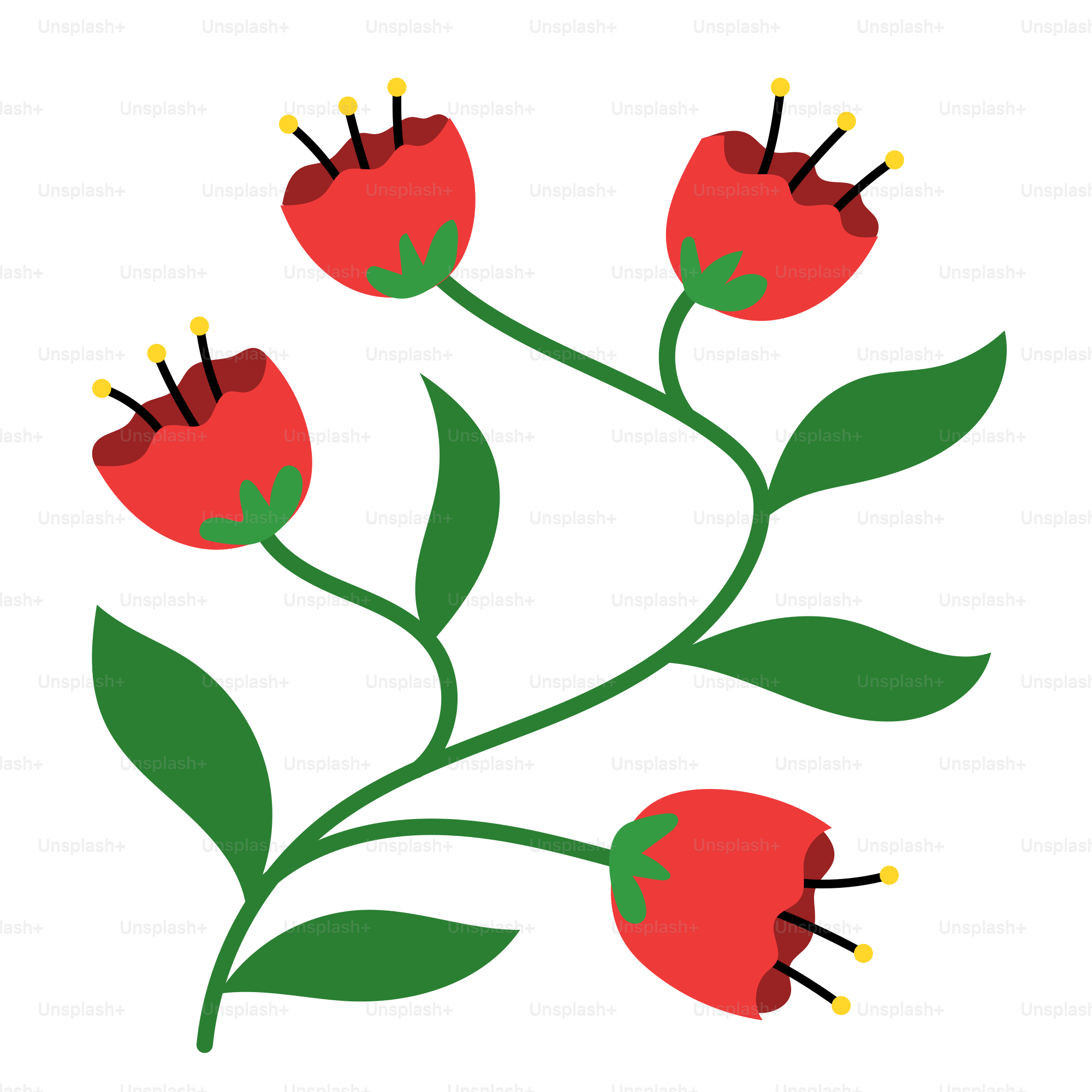 흰 배경에 초록 잎이 있는 빨간 꽃 벡터 – Unsplash의 꽃 이미지, image size:3000x3000