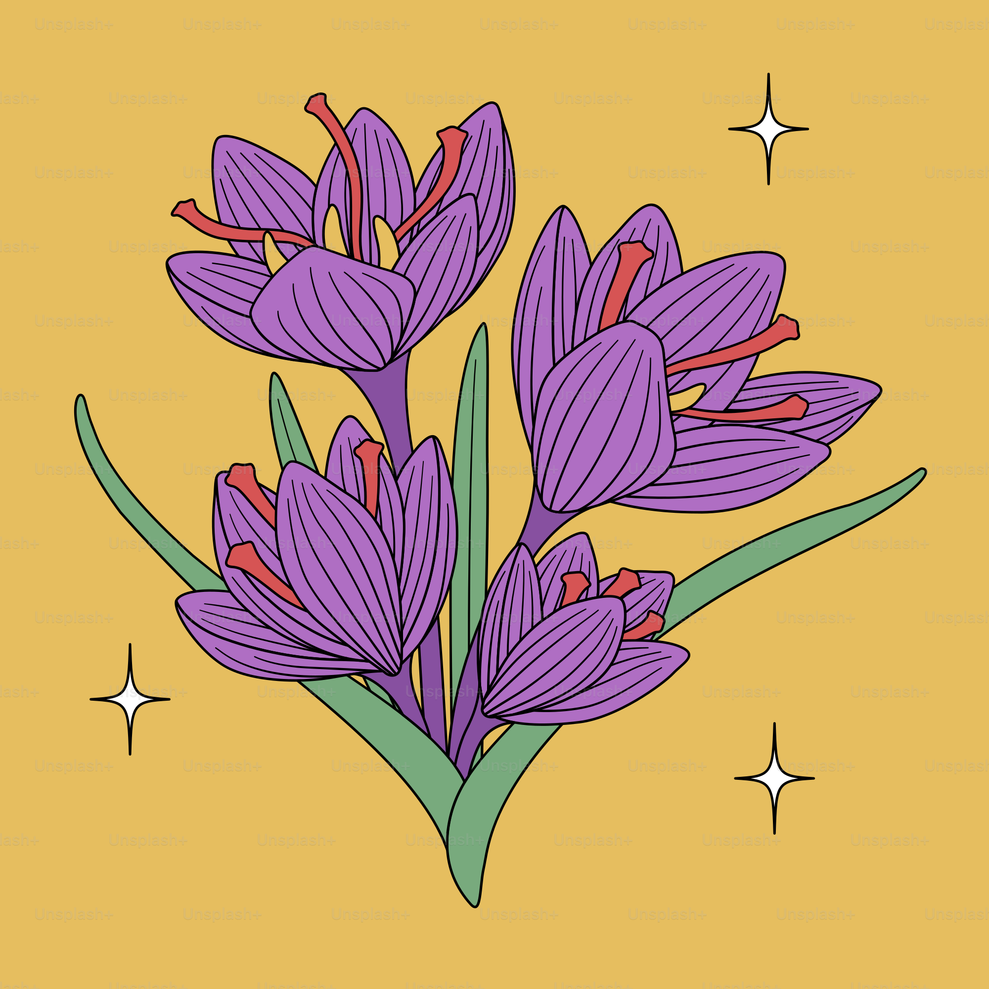 A picture of purple flowers on a yellow background