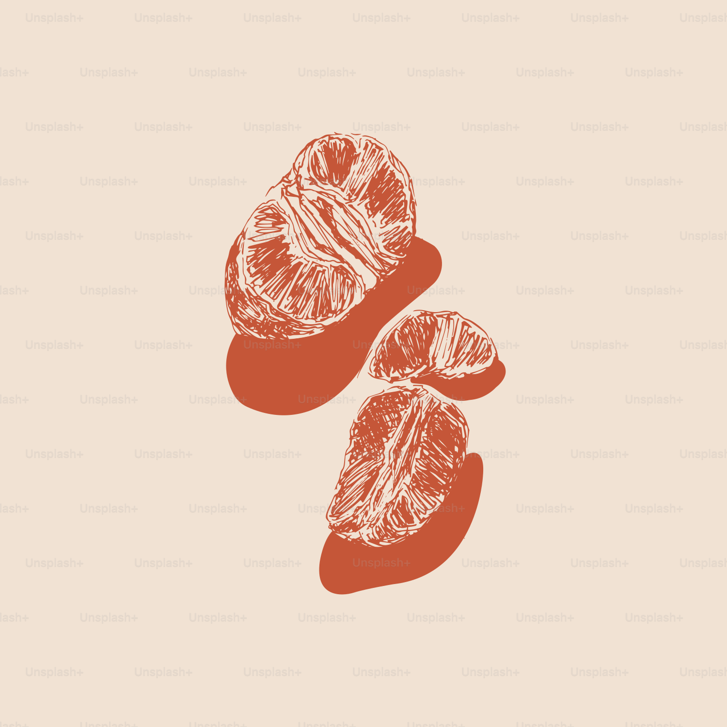 A picture of some oranges on a pink background