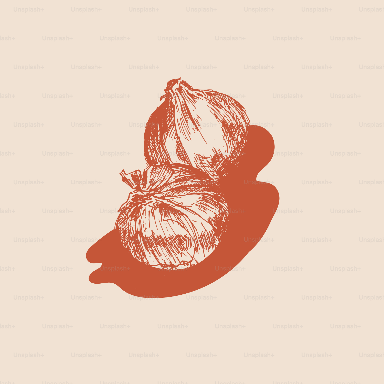 Un disegno di due cipolle su sfondo beige