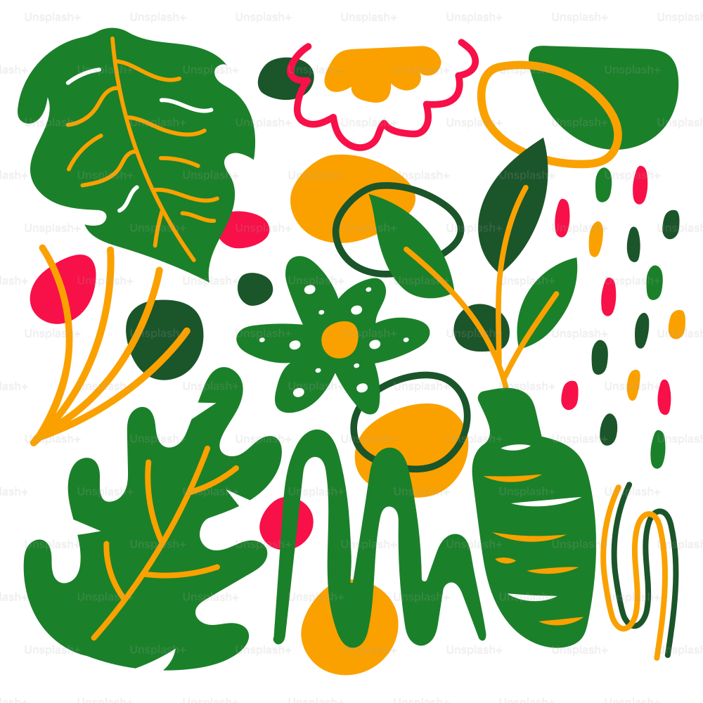 A picture of a bunch of plants and leaves
