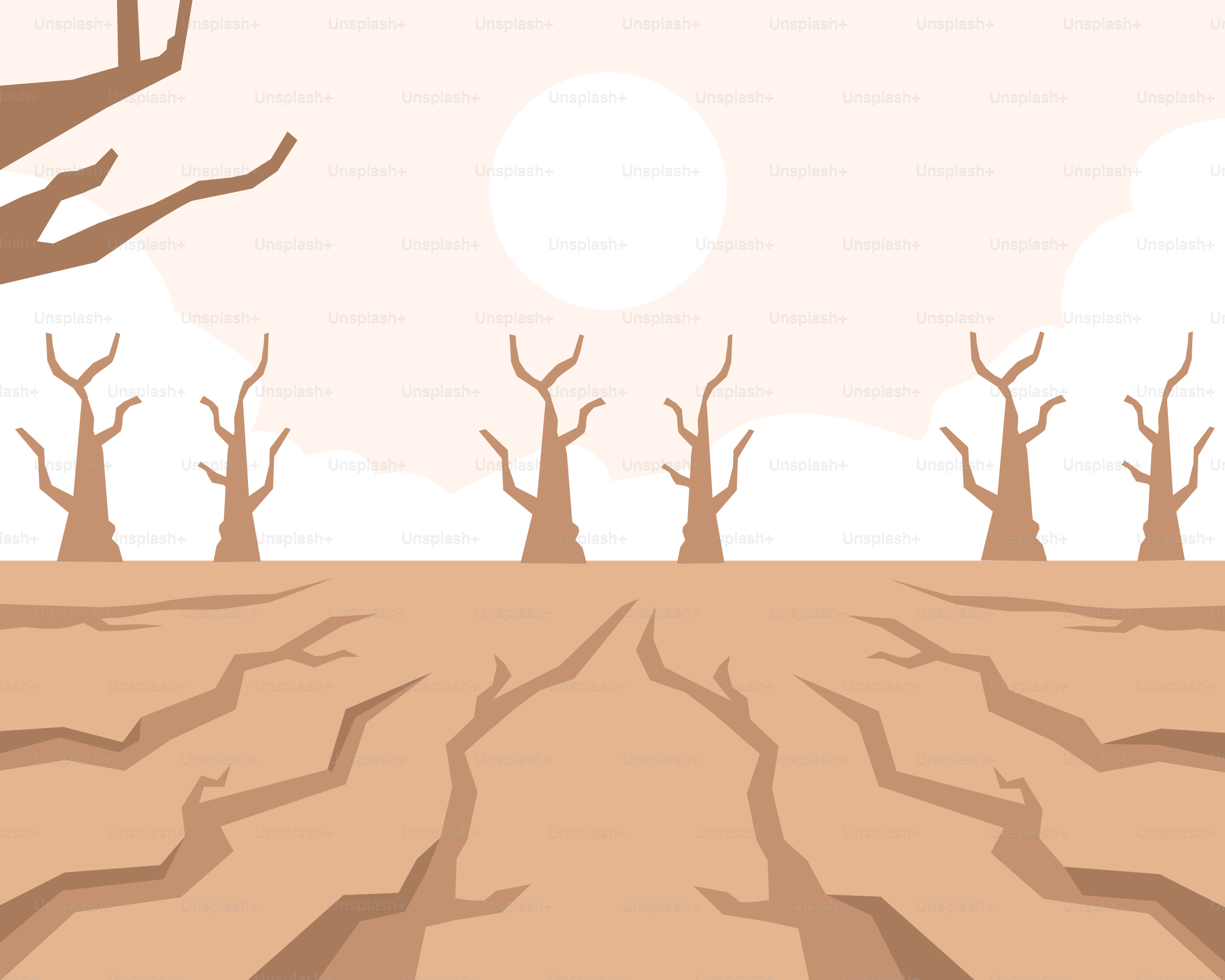A picture of a barren area with dead trees