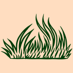 A picture of a grass field with a sky background