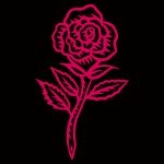 Una rosa rosa sobre fondo negro