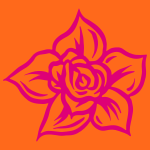 A pink rose on an orange background