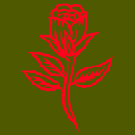 A red rose on a green background
