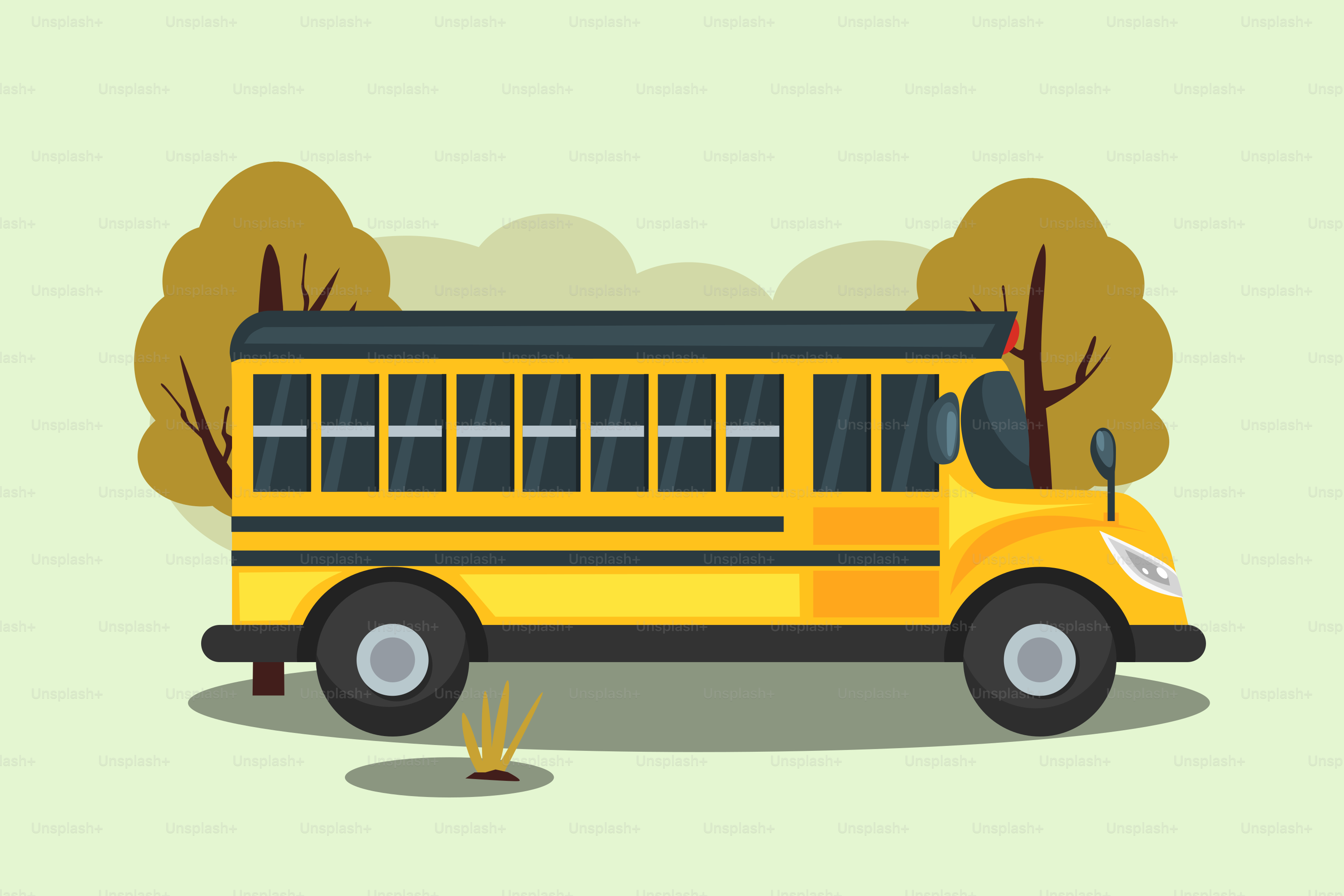 A yellow school bus parked in front of a tree