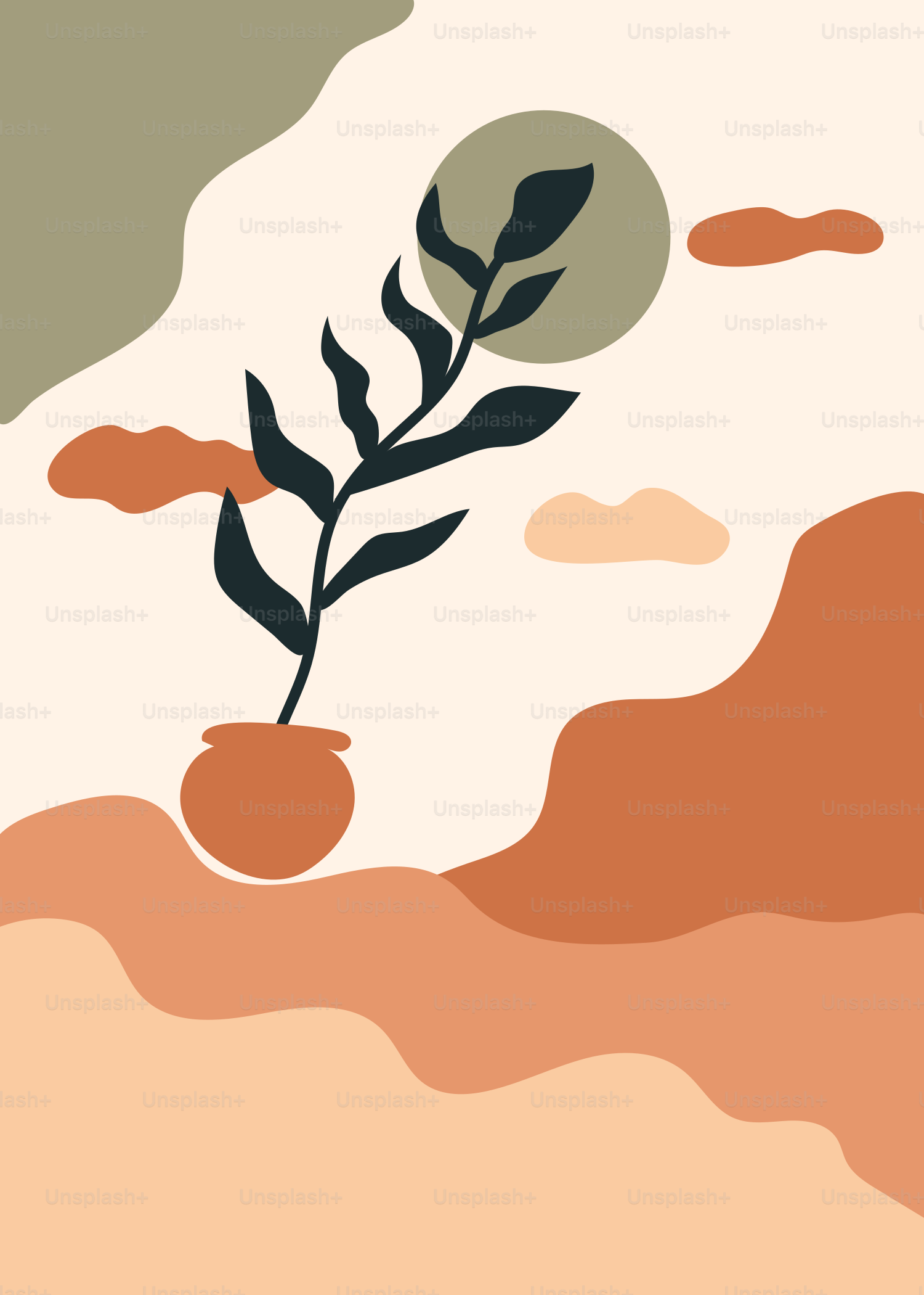 A picture of a plant in the middle of a desert