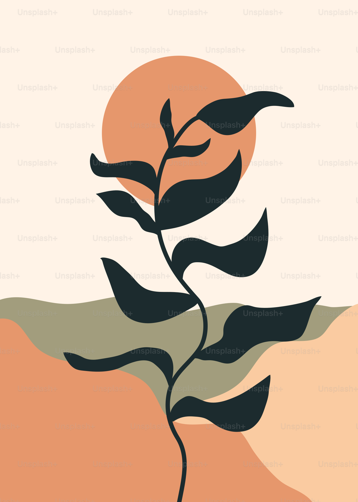 A picture of a plant in the middle of a desert