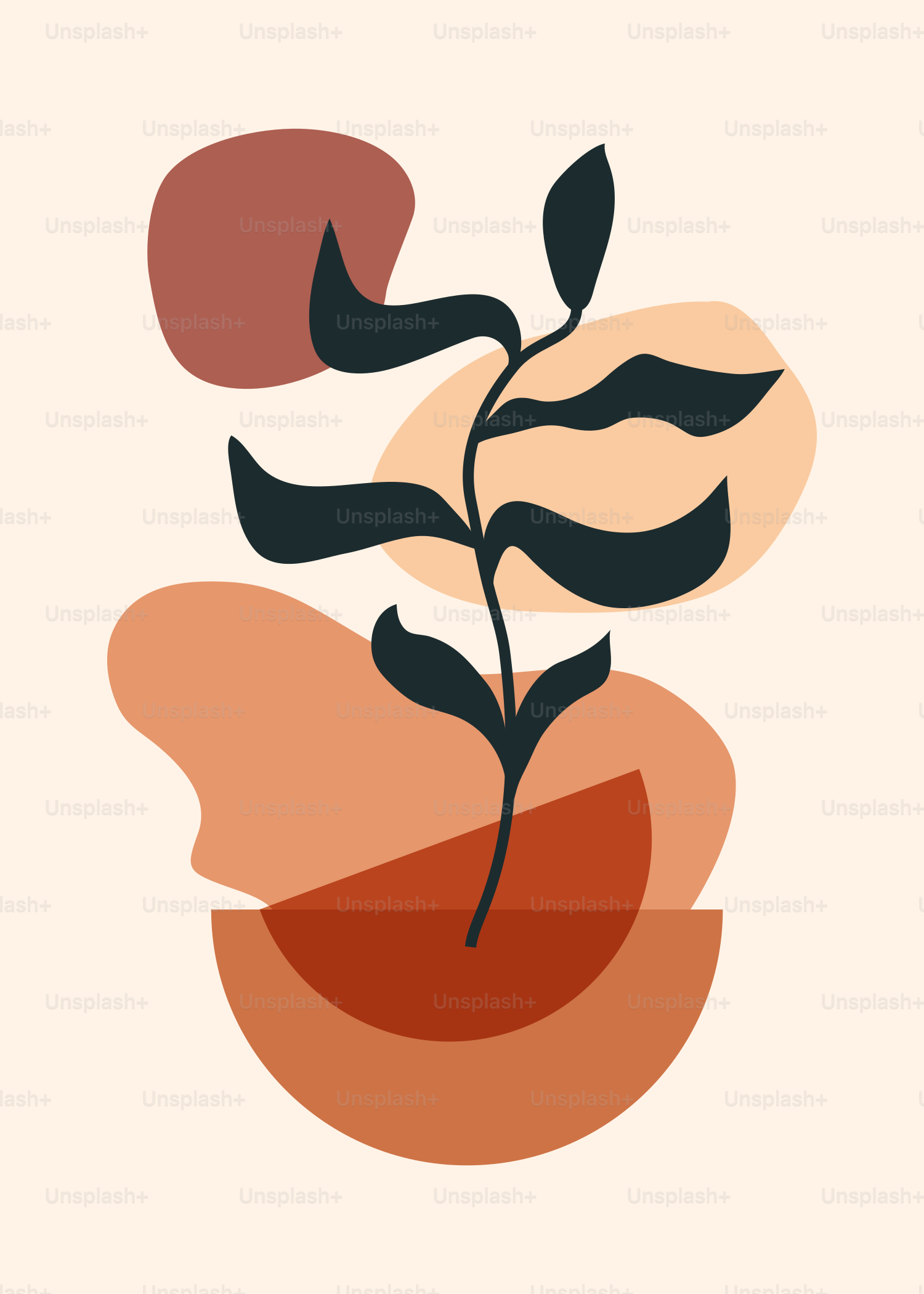 A plant with leaves on a white background