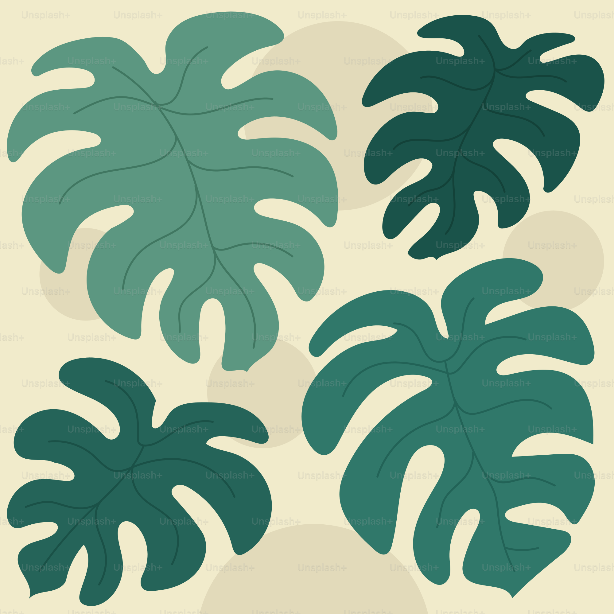 A group of green leaves on a white background