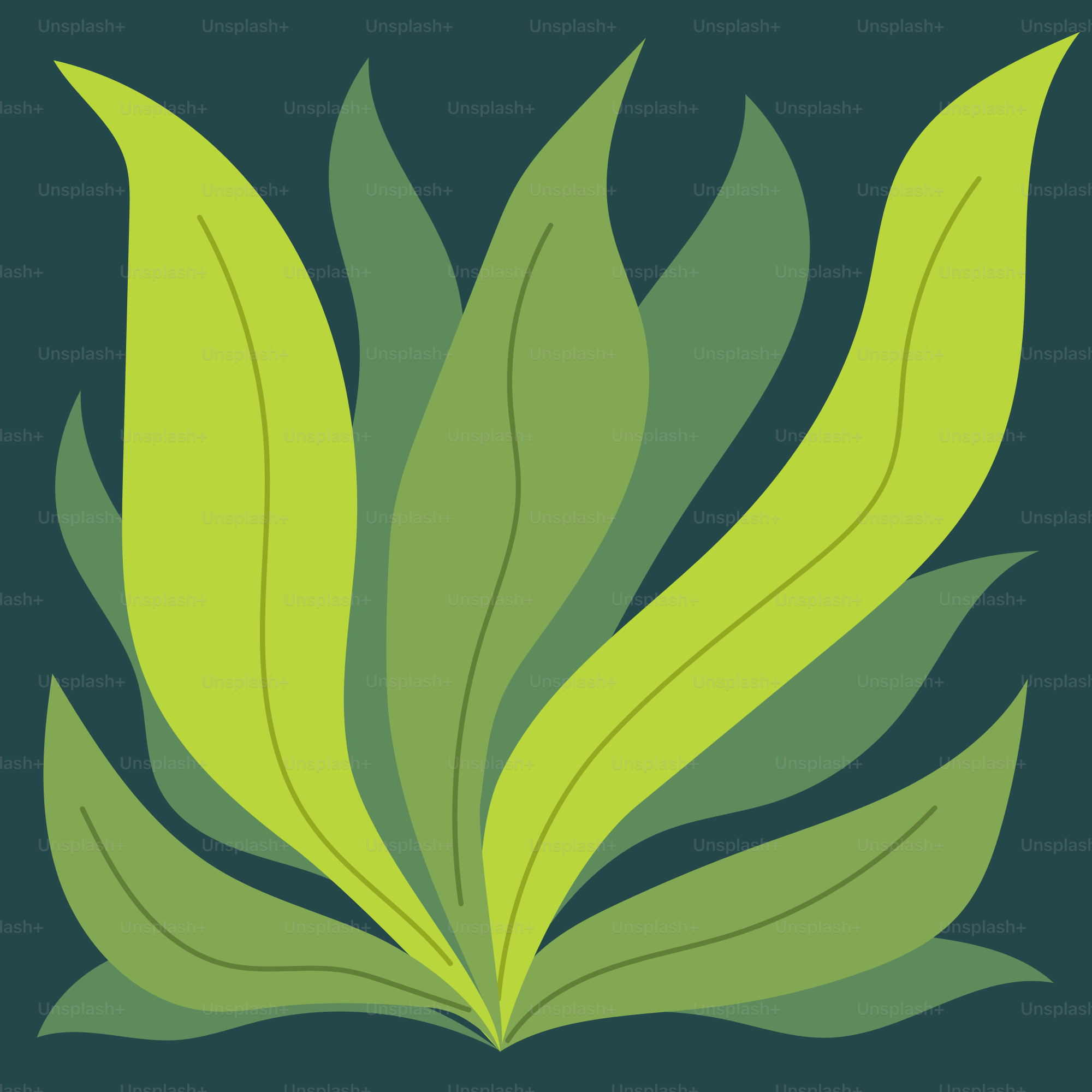 A picture of a green leaf on a black background