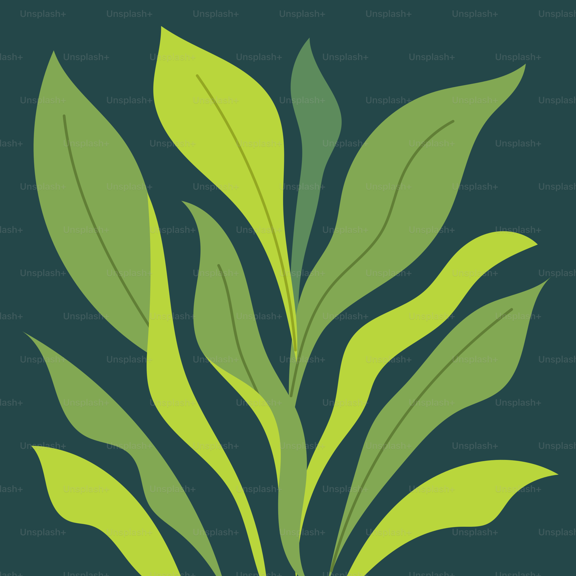 Une photo d’une plante aux feuilles vertes