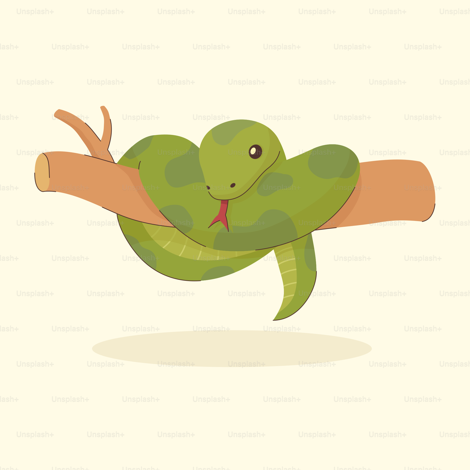 A green snake hanging on to a tree branch