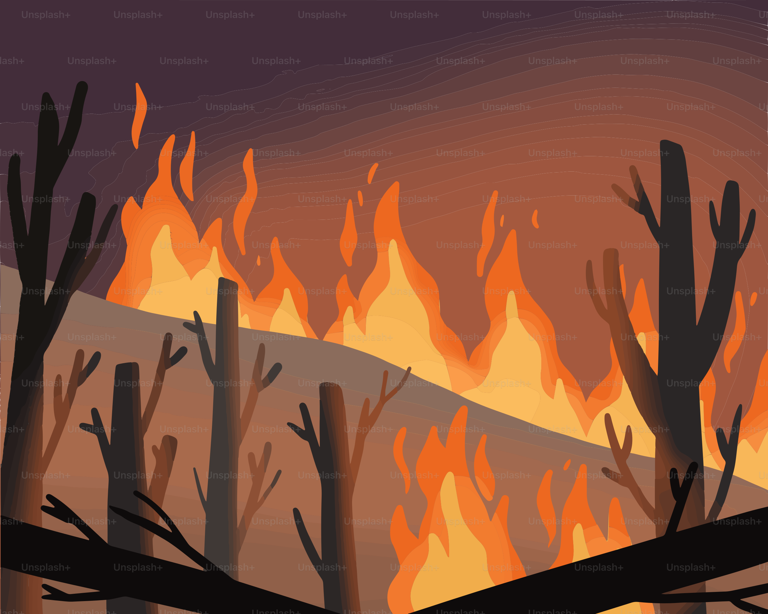 A drawing of a fire burning in a forest