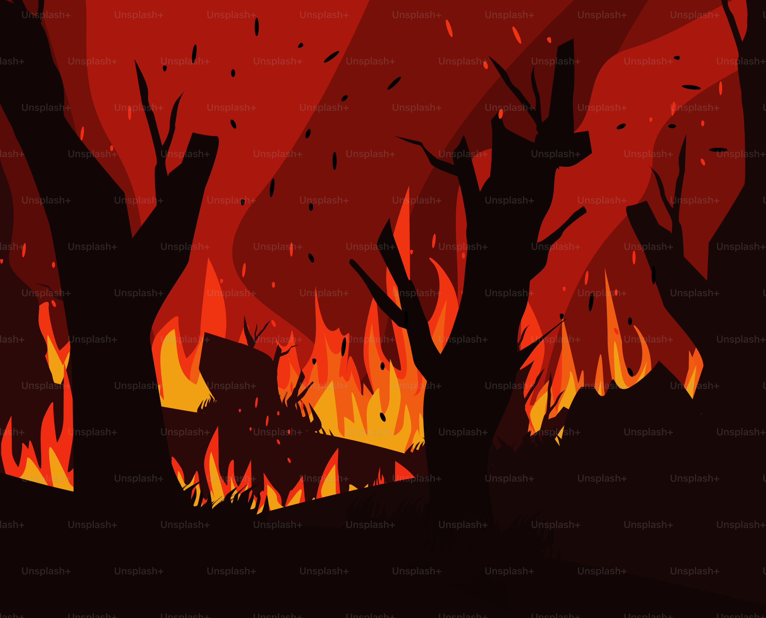 Un fuego ardiendo en un bosque lleno de árboles