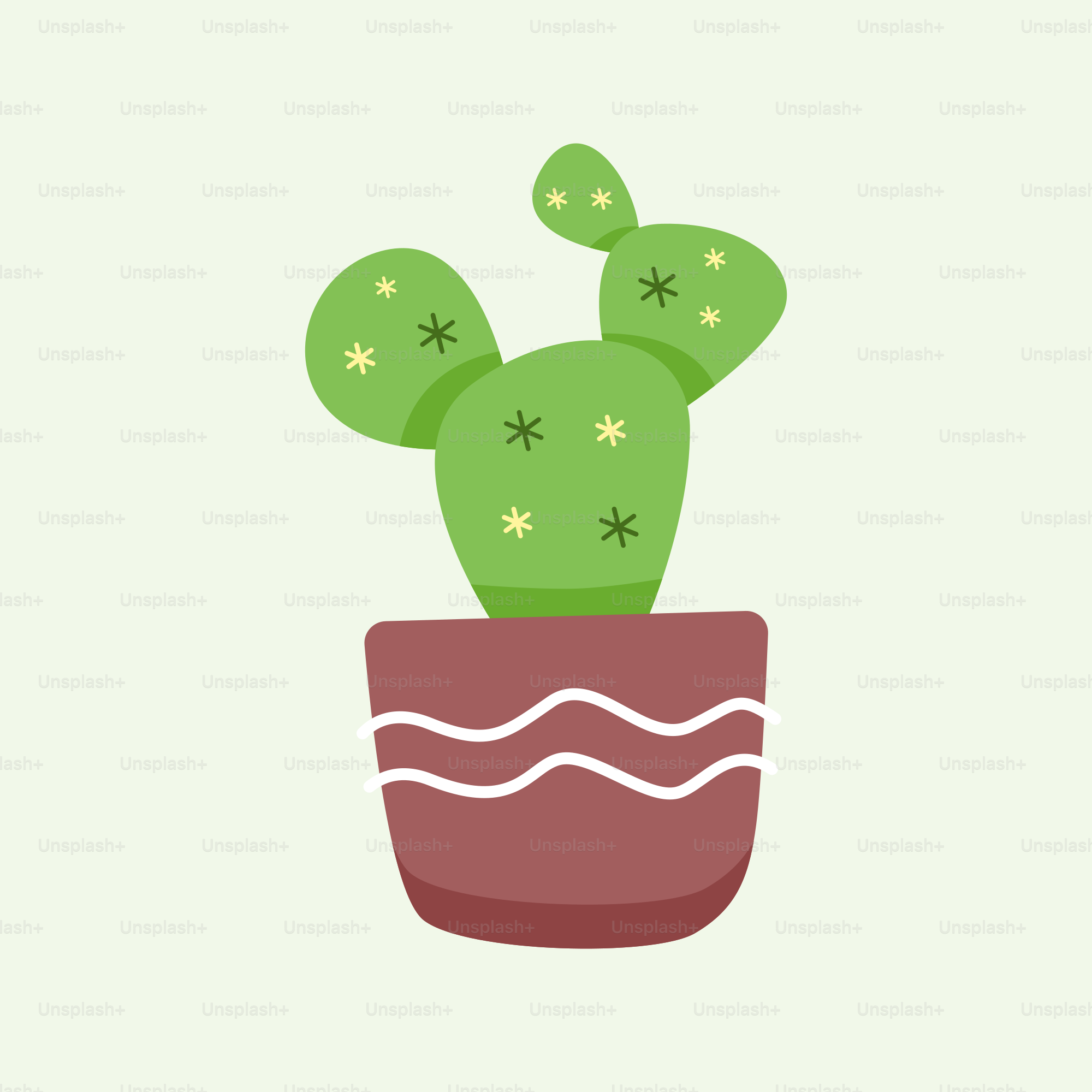 Ein Kaktus in einem Topf mit Sternen darauf