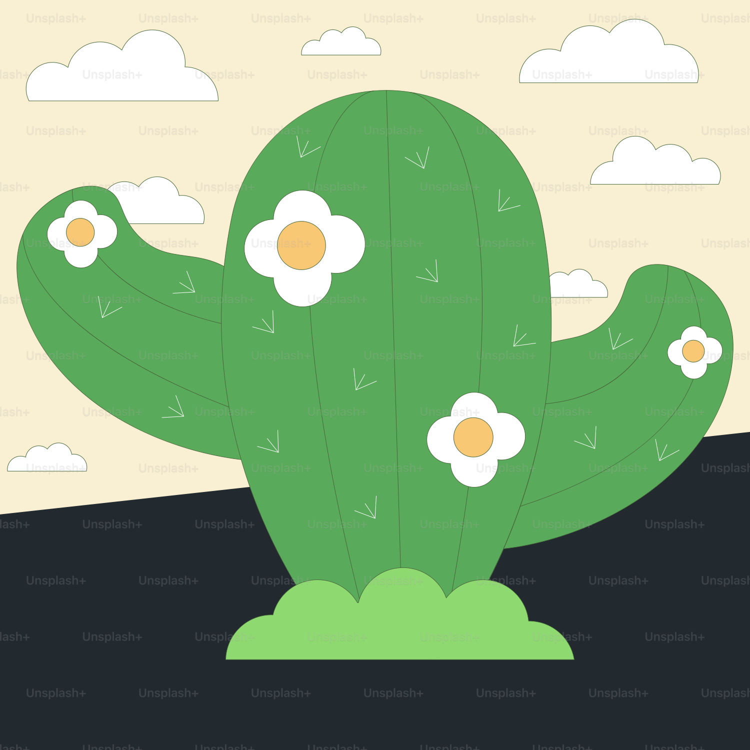 Un cactus vert orné de fleurs blanches