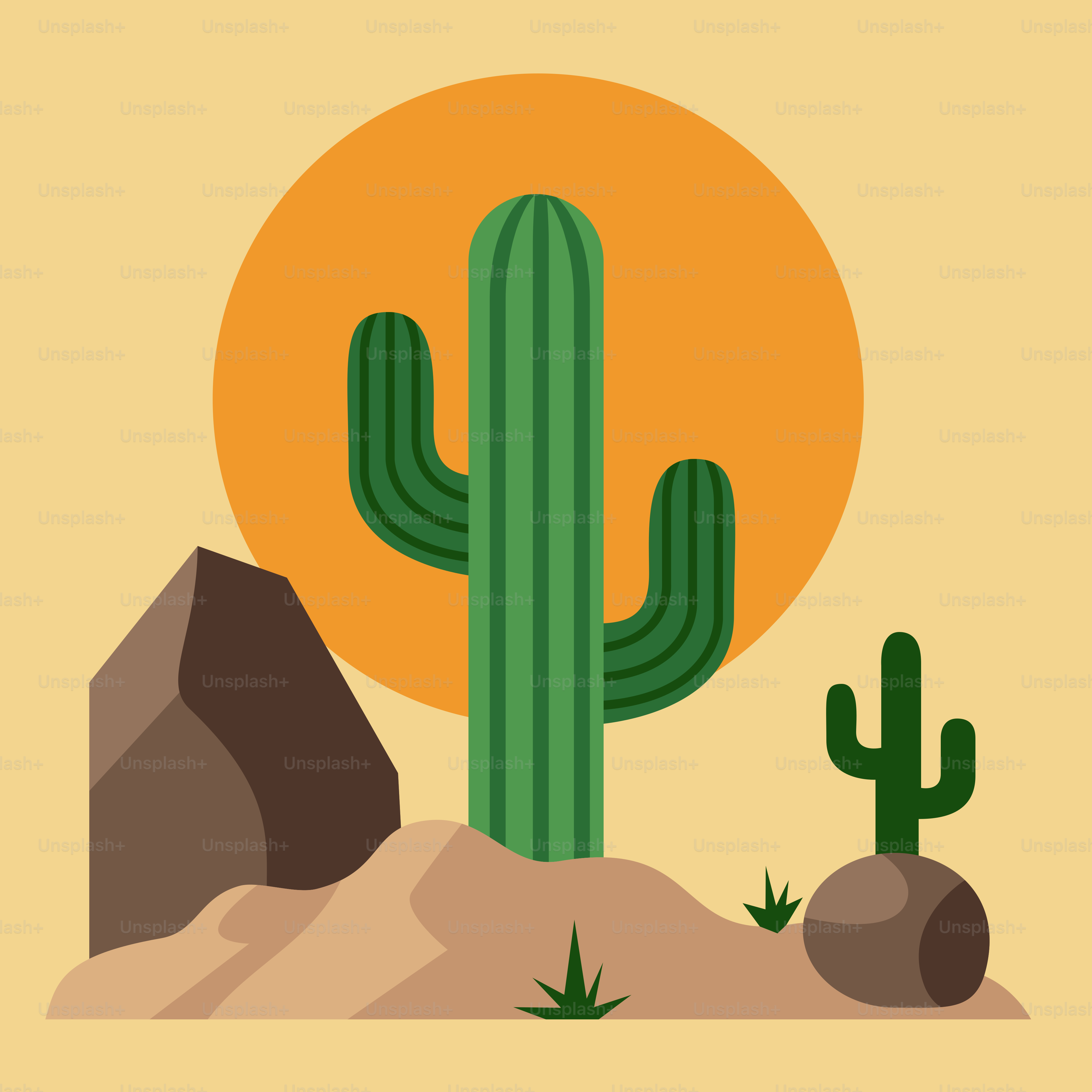 A cactus and a rock in the desert