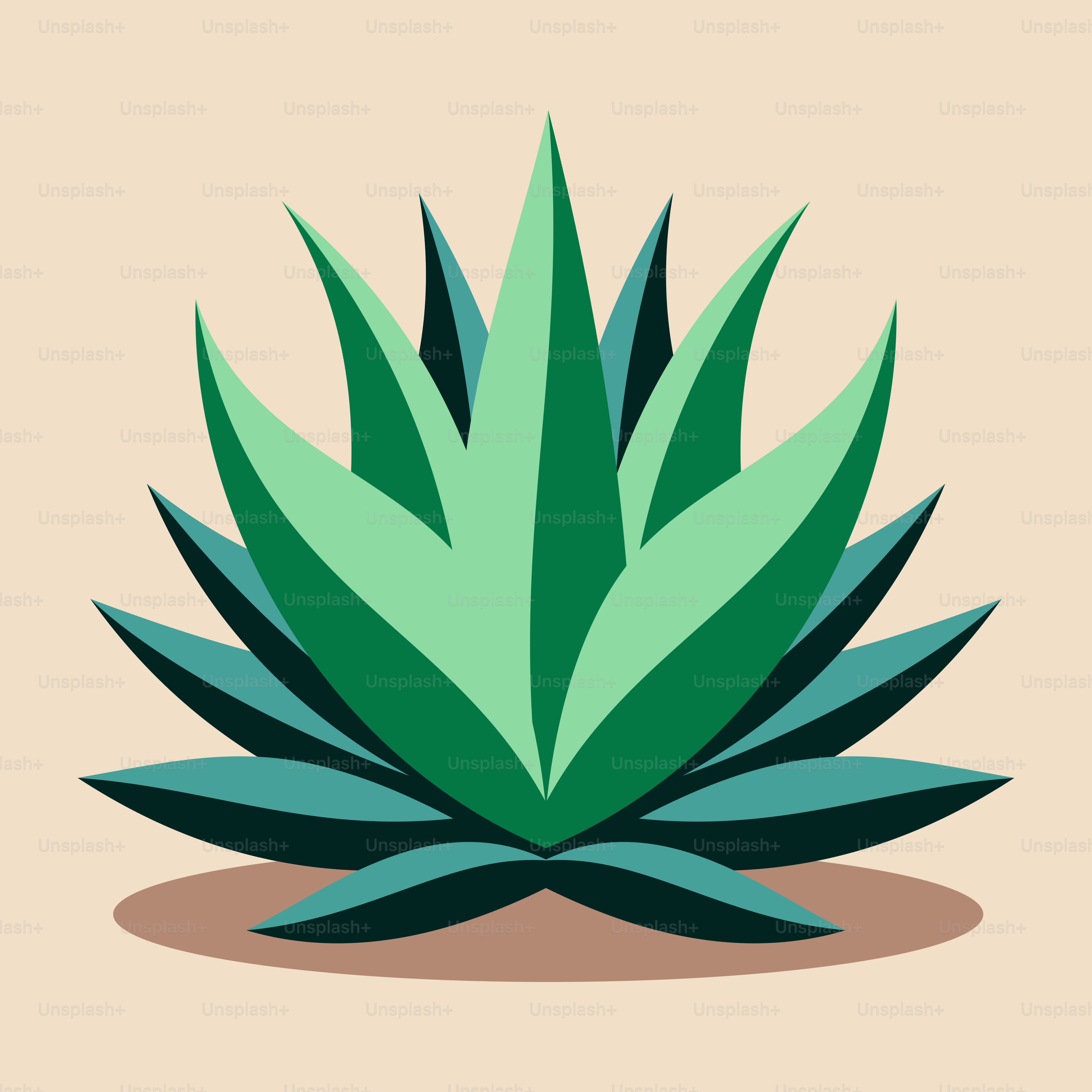 Una pianta verde poggiata su un terreno sabbioso