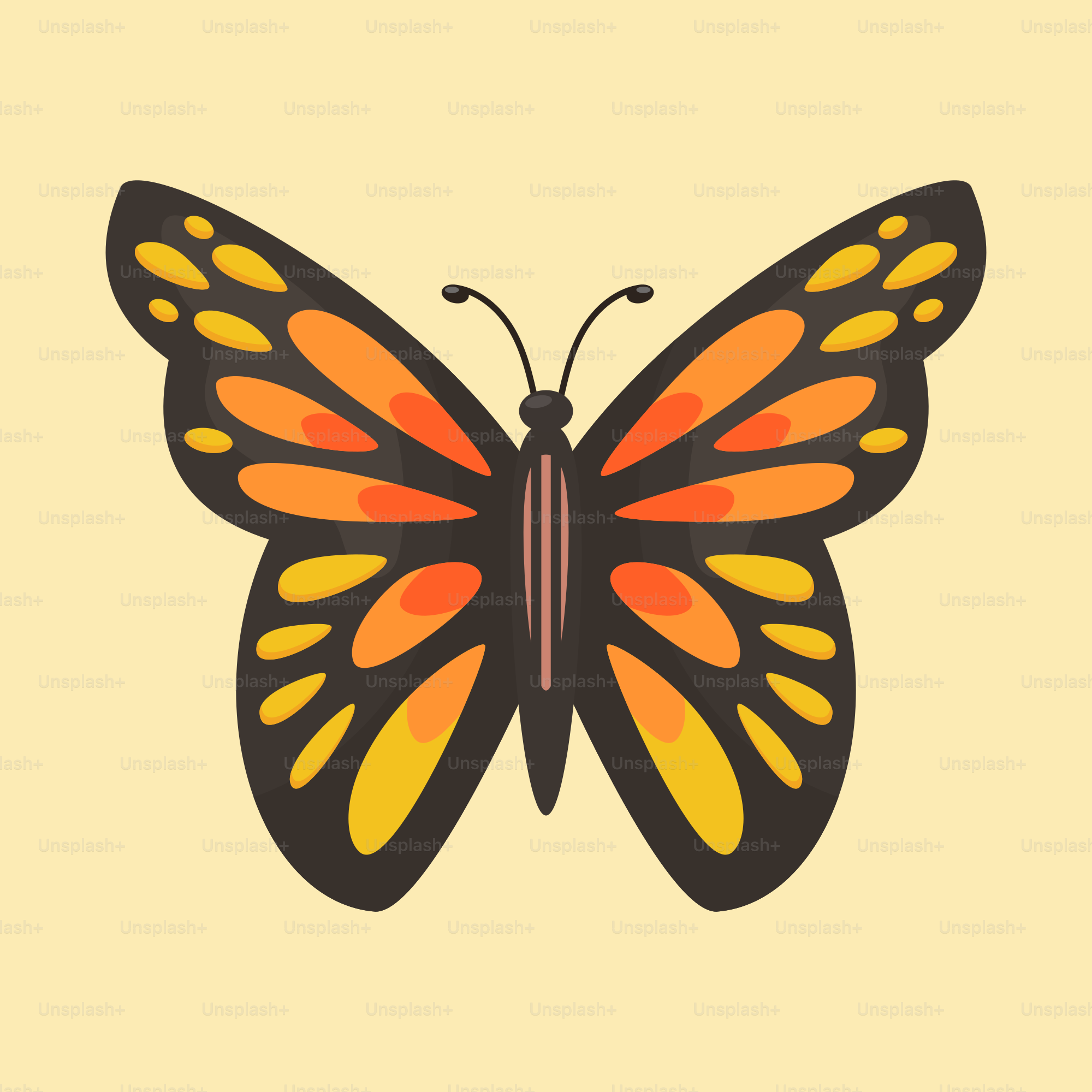 A picture of a butterfly on a yellow background