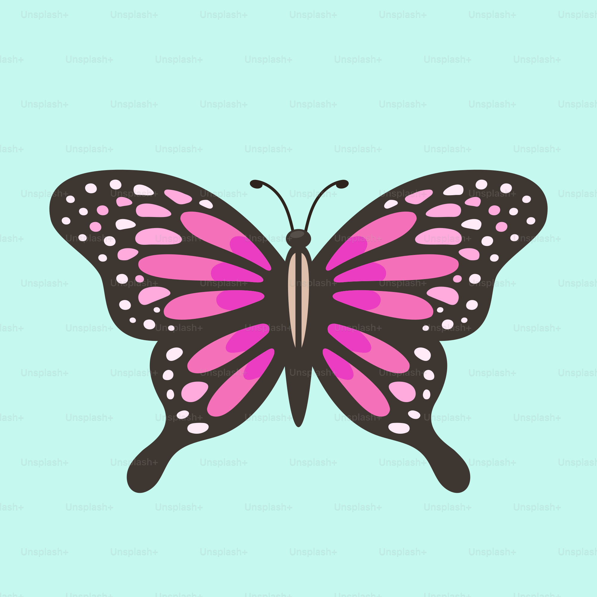 A pink butterfly on a blue background