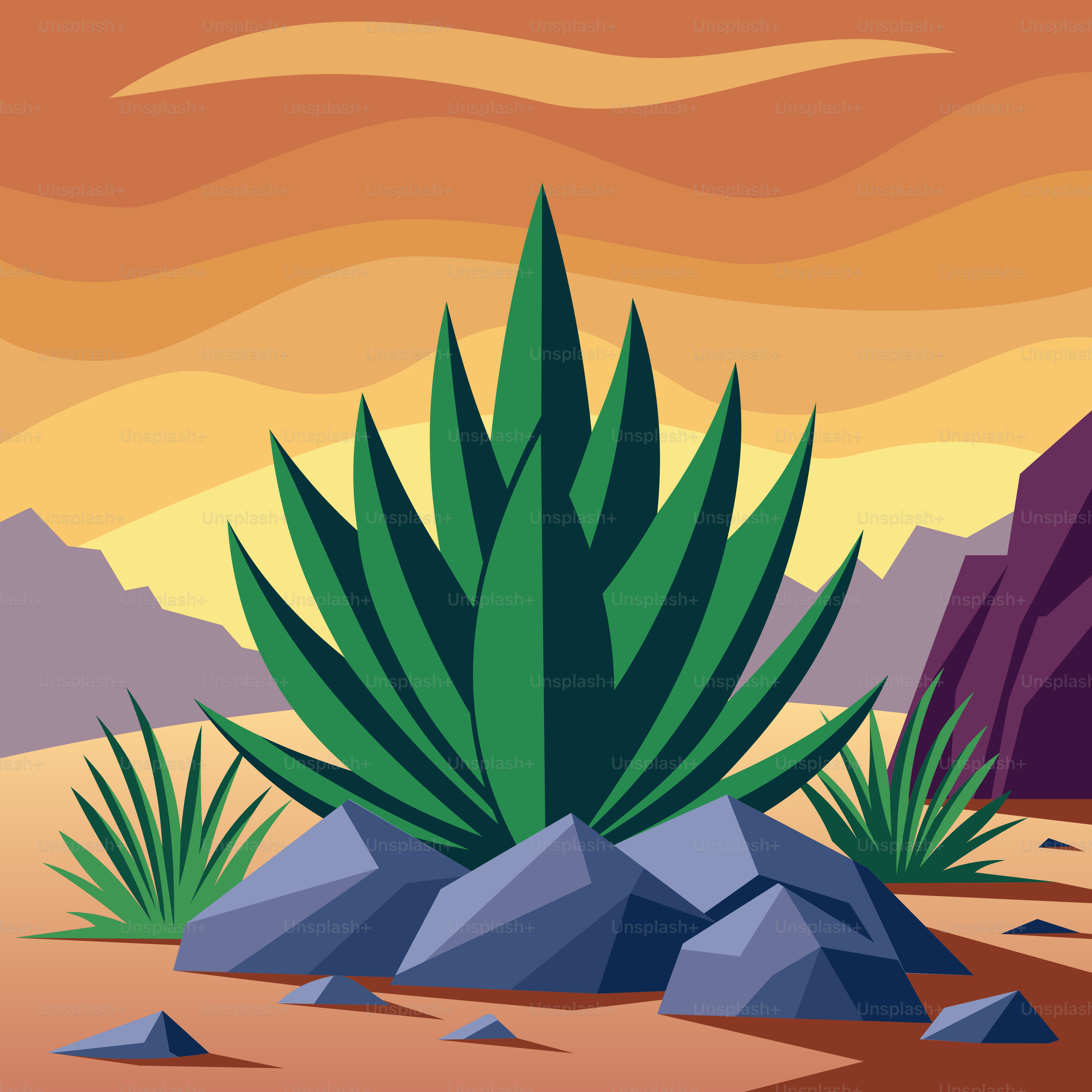 A desert scene with a cactus and rocks