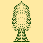 A drawing of a pine tree on a yellow background