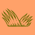 A drawing of a green plant on an orange background
