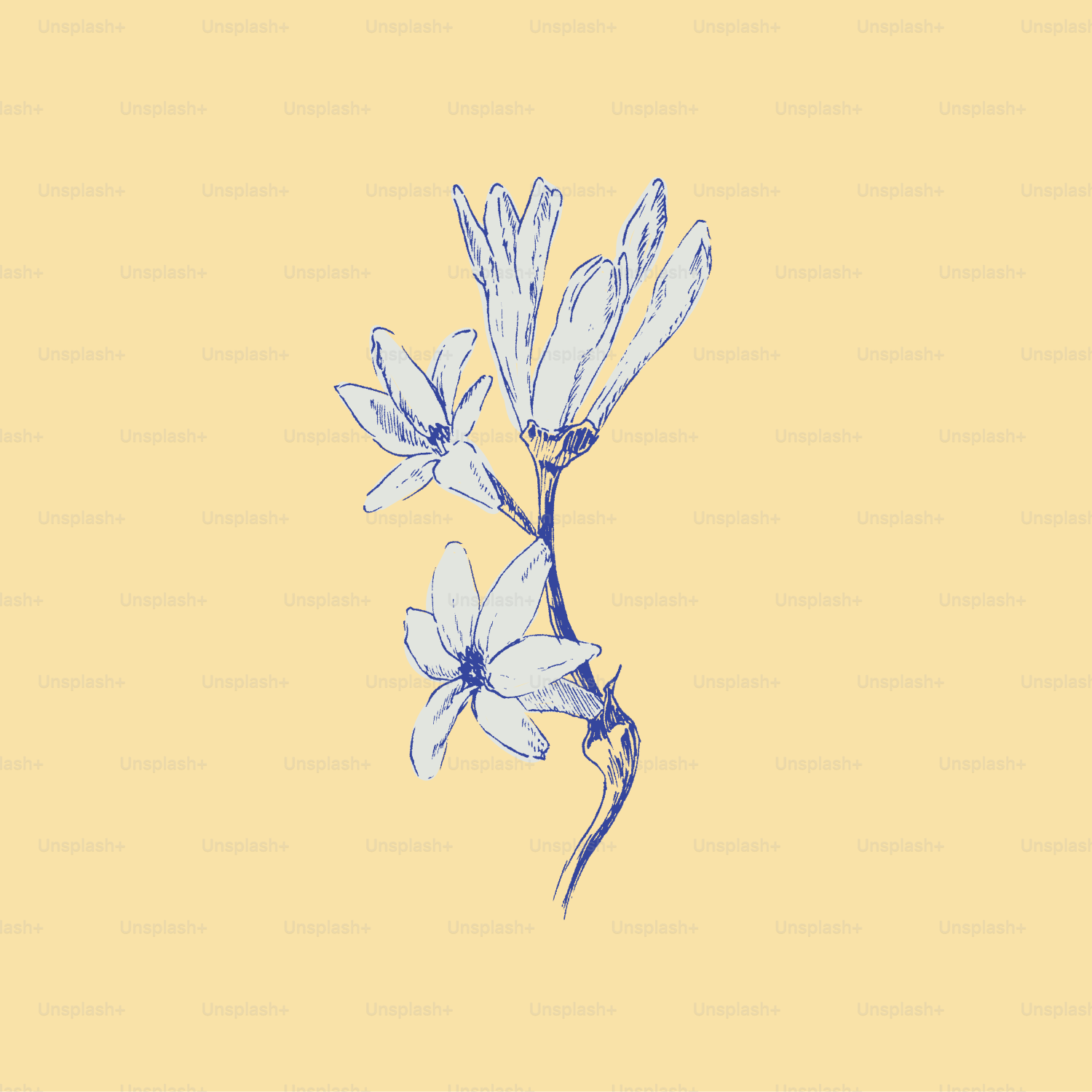A drawing of a flower on a yellow background