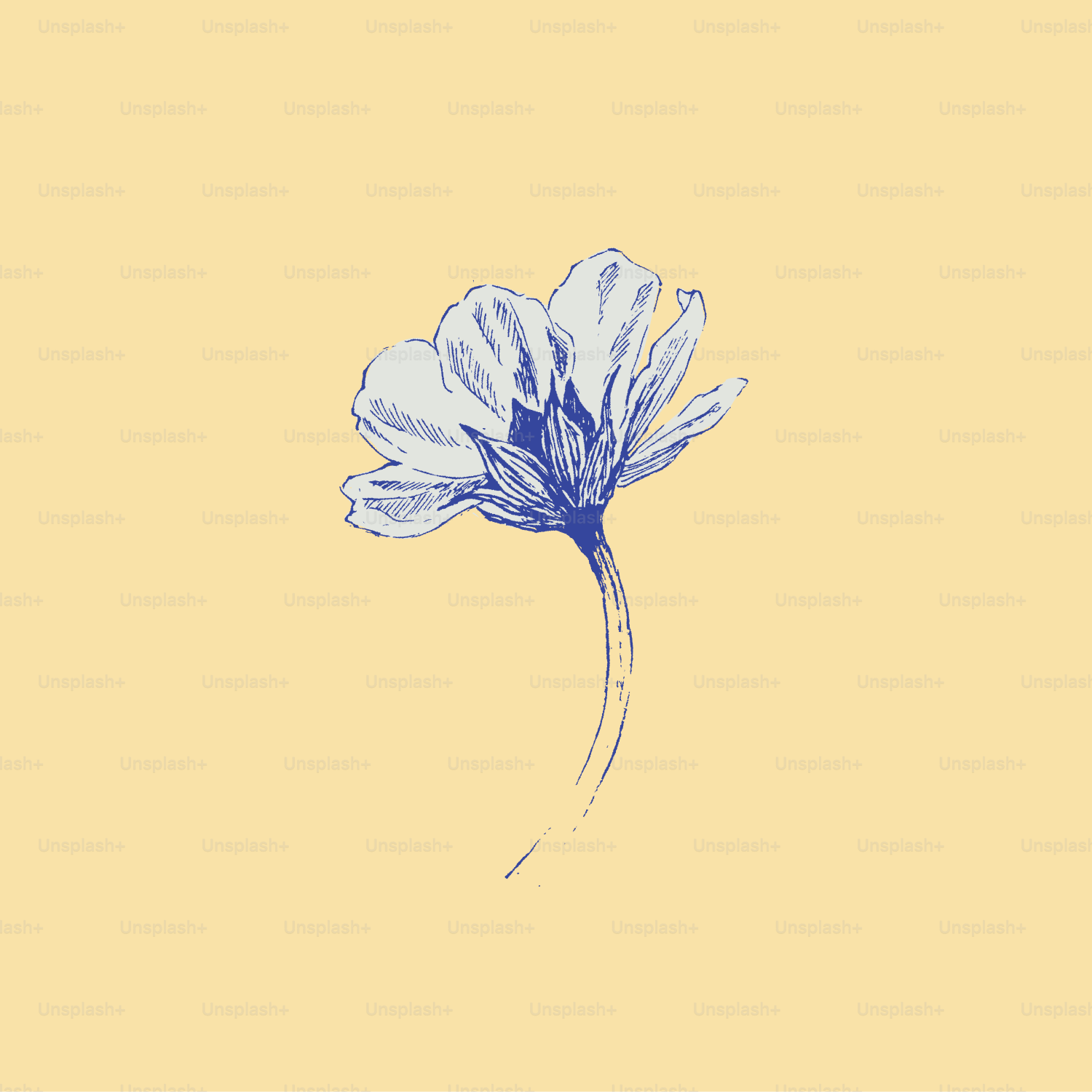 Una flor azul sobre fondo amarillo