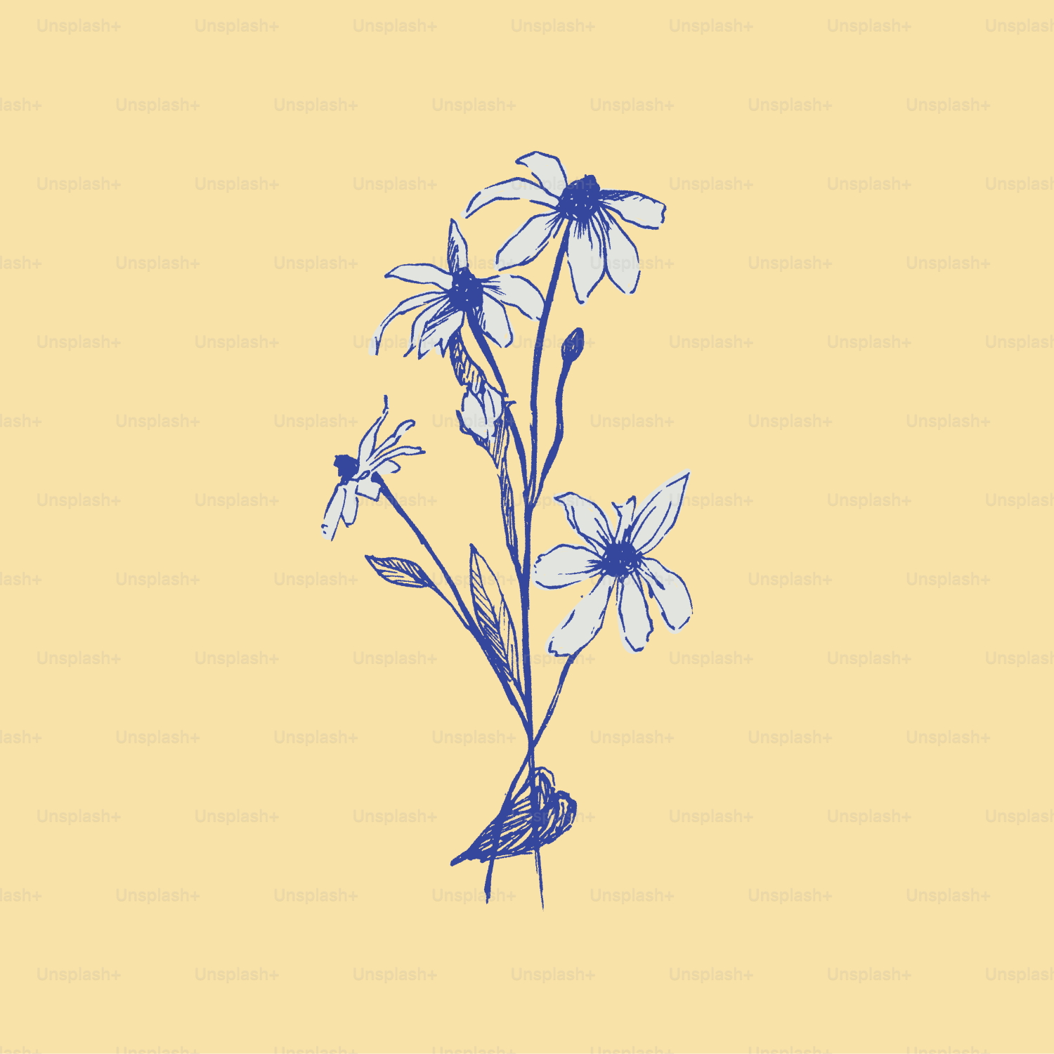 A blue and white flower on a yellow background