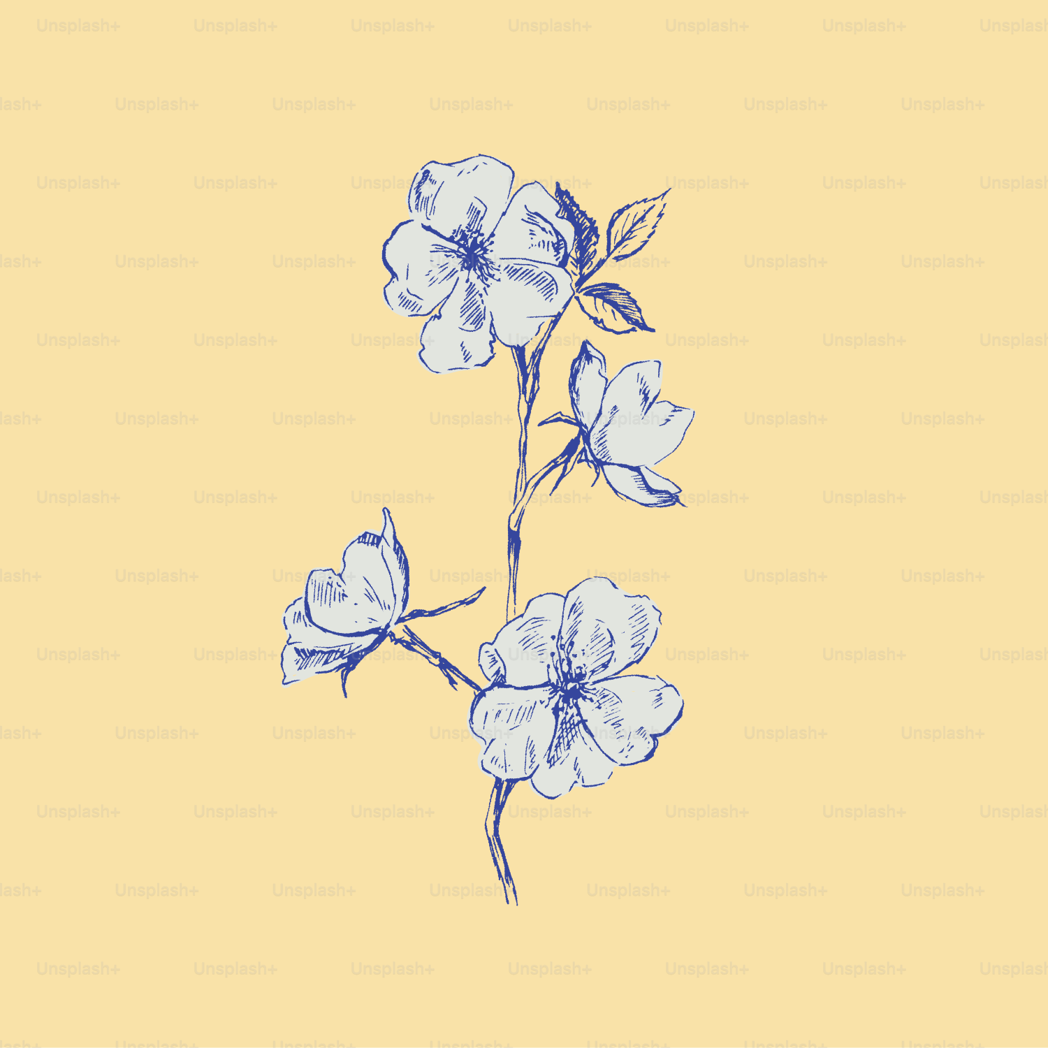 Una flor azul y blanca sobre fondo amarillo