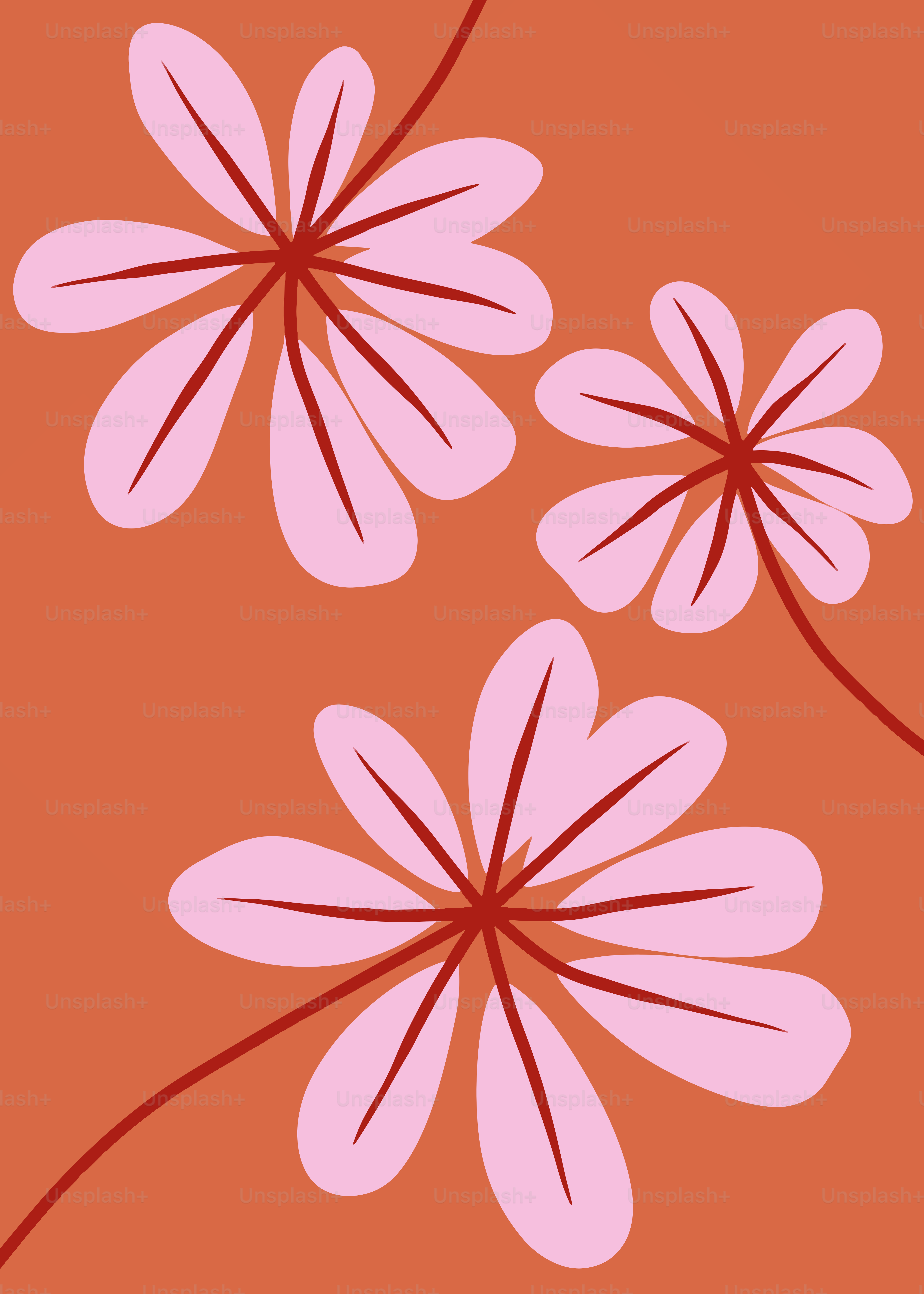 A pink flower on an orange background
