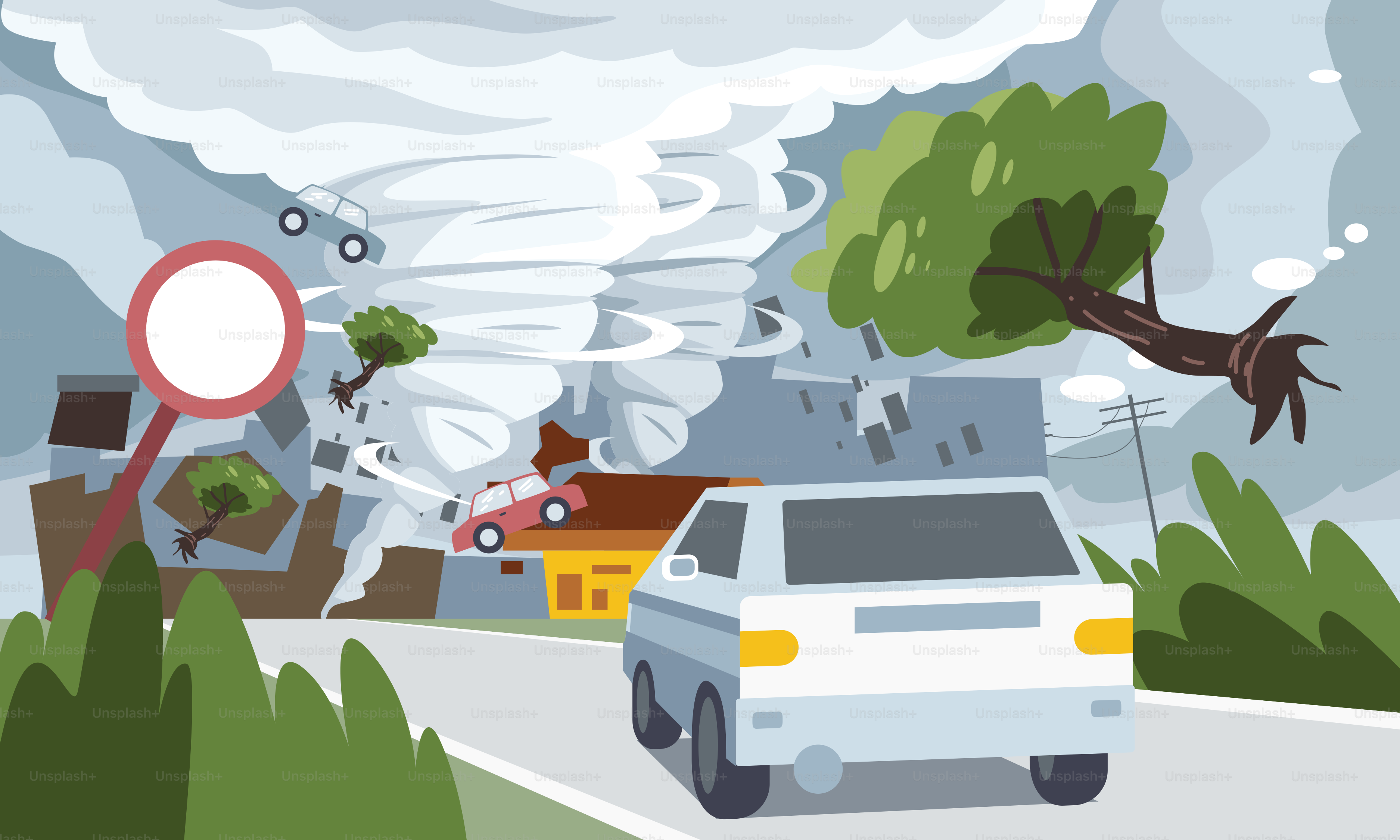 A car driving down a road next to a forest