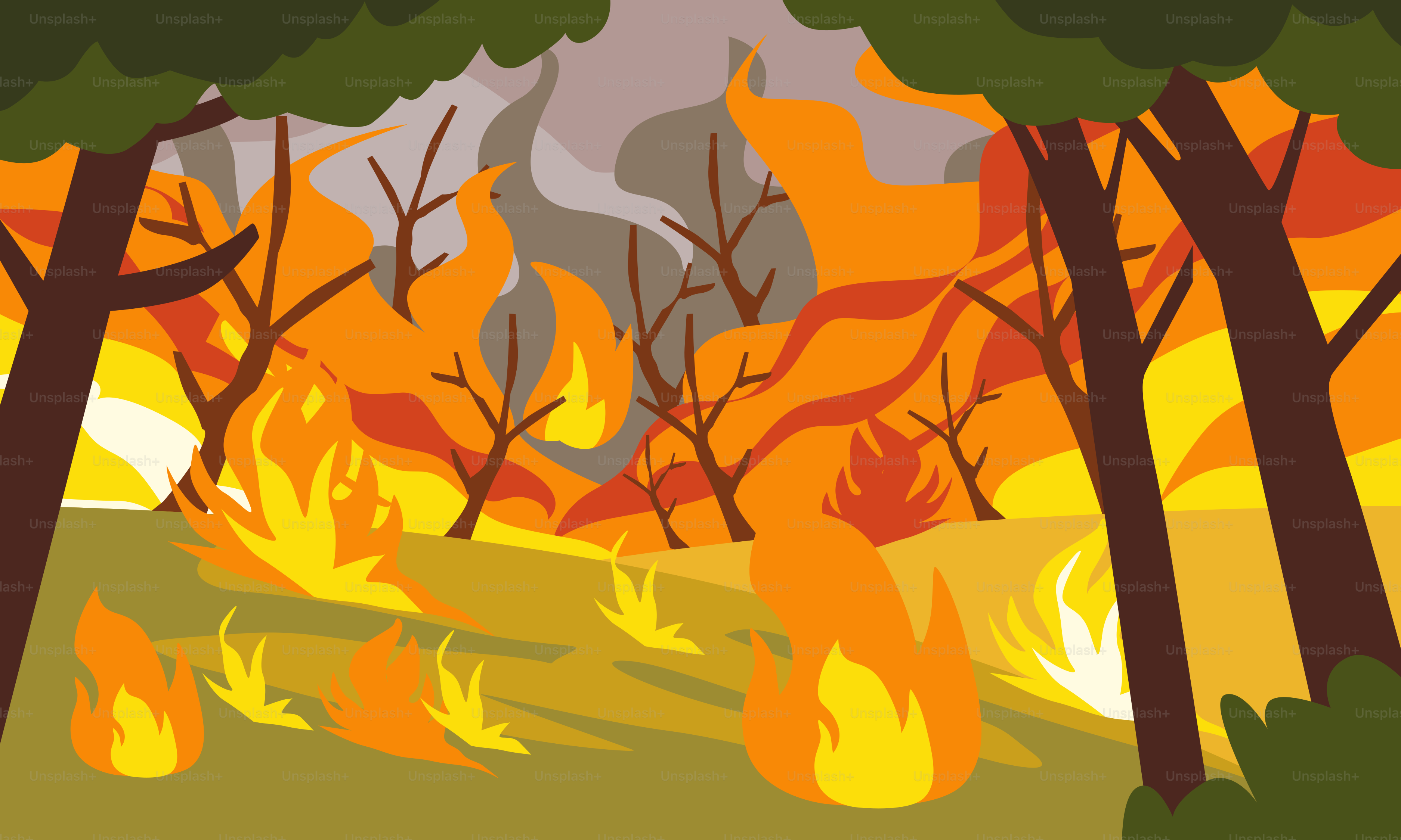 A fire burning in a forest filled with trees