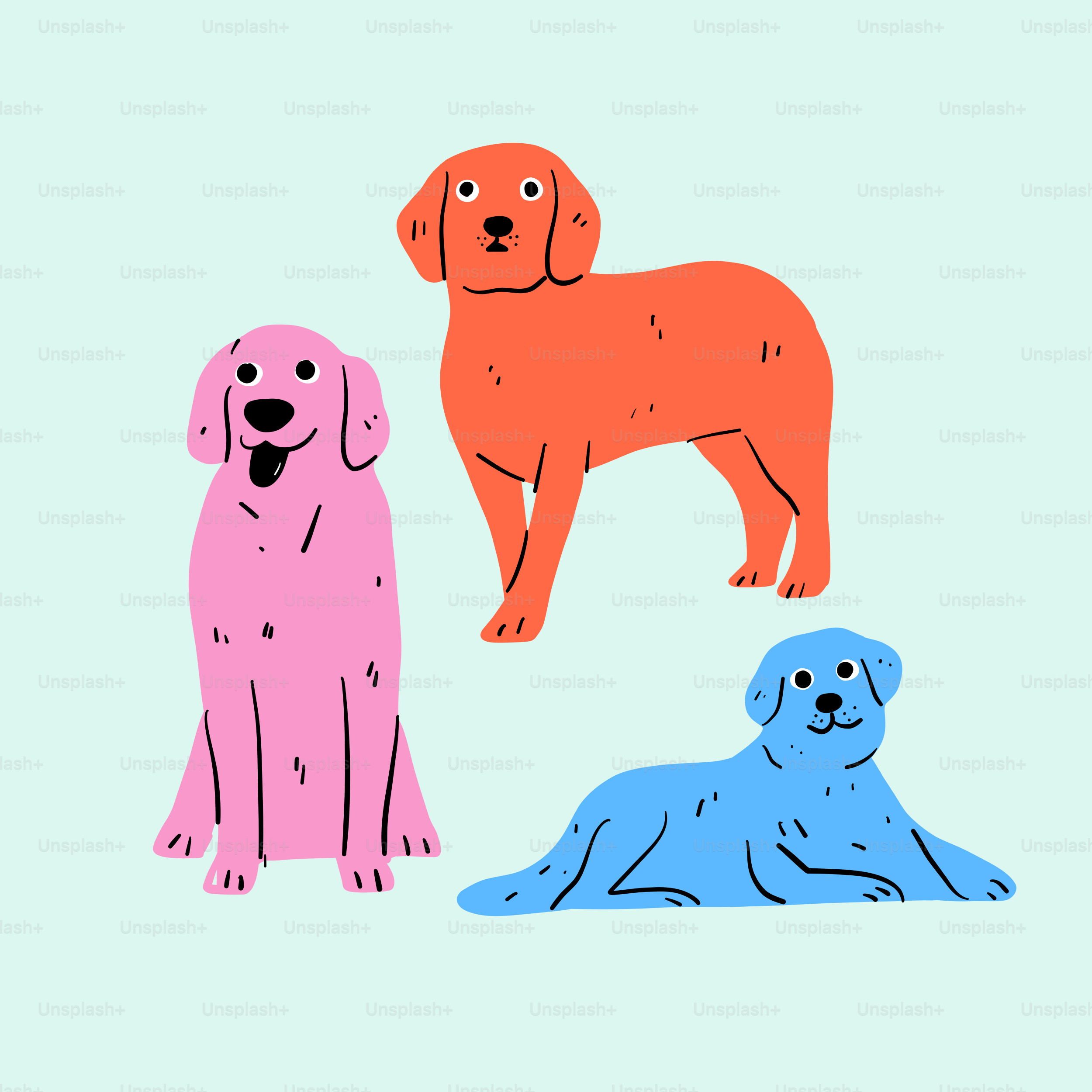 A group of three dogs sitting next to each other