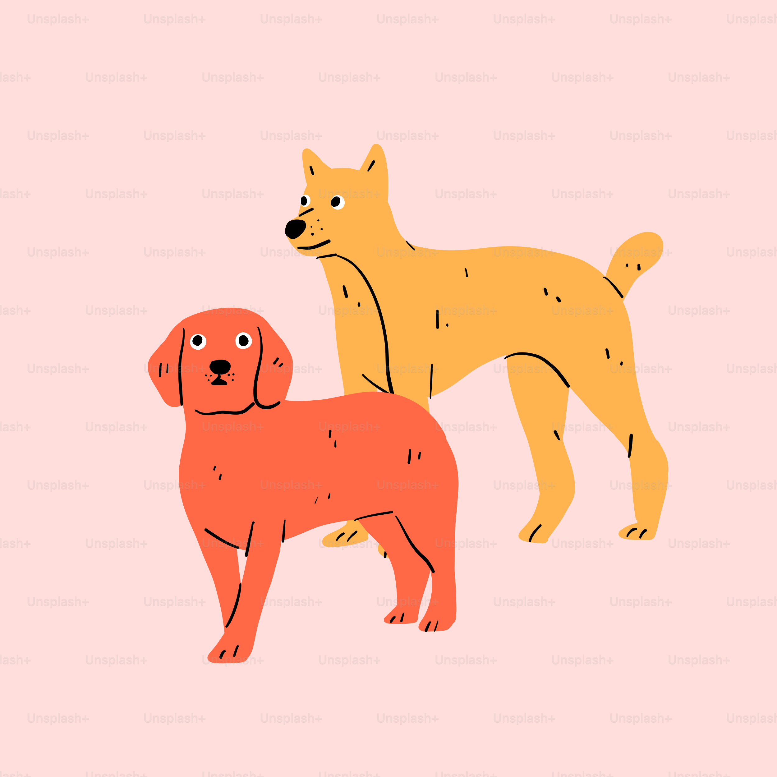 A couple of dogs standing next to each other