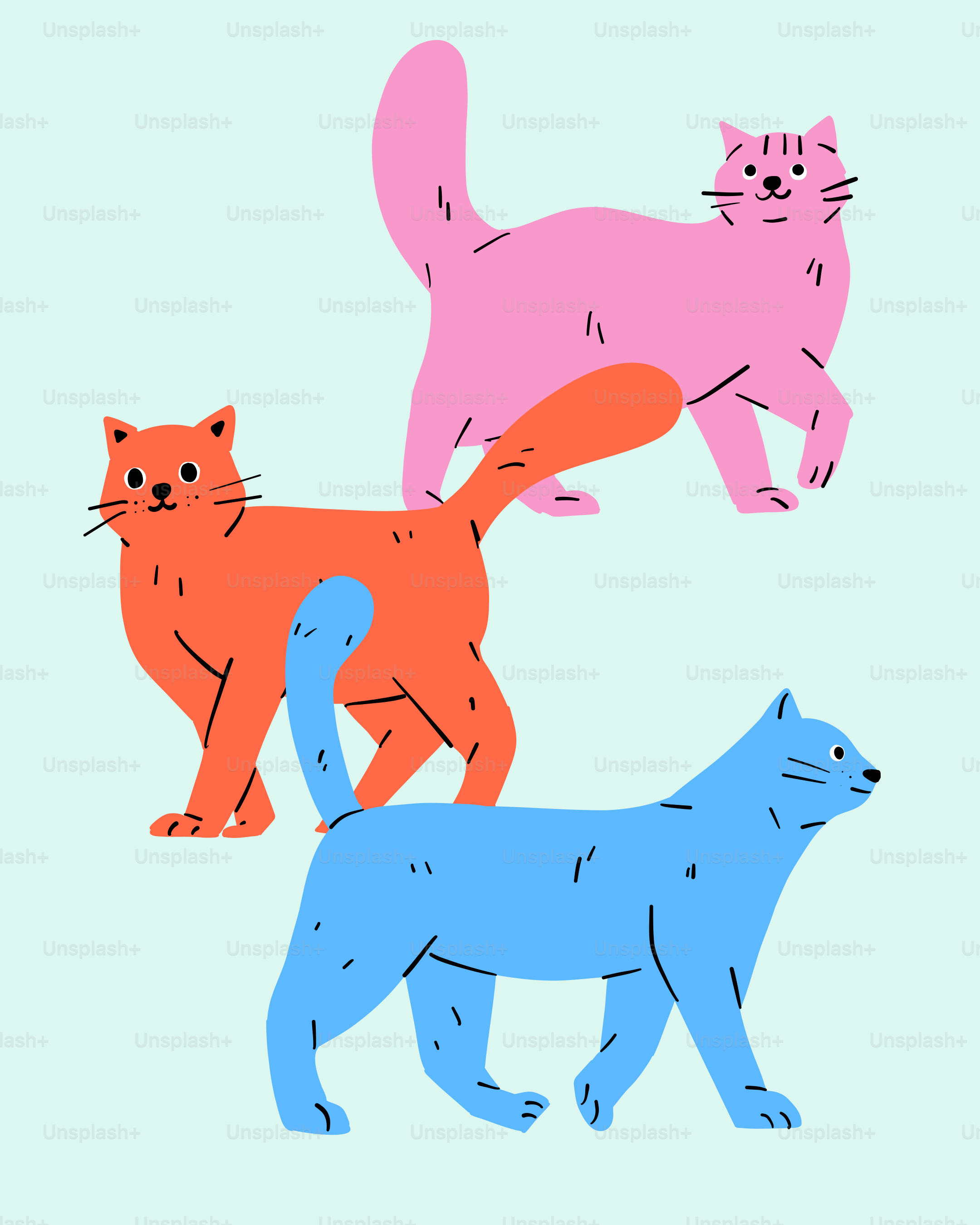 Eine Gruppe von drei Katzen, die nebeneinander stehen Vektor – Bild zum  Thema Katze auf Unsplash, image size:3000x3750