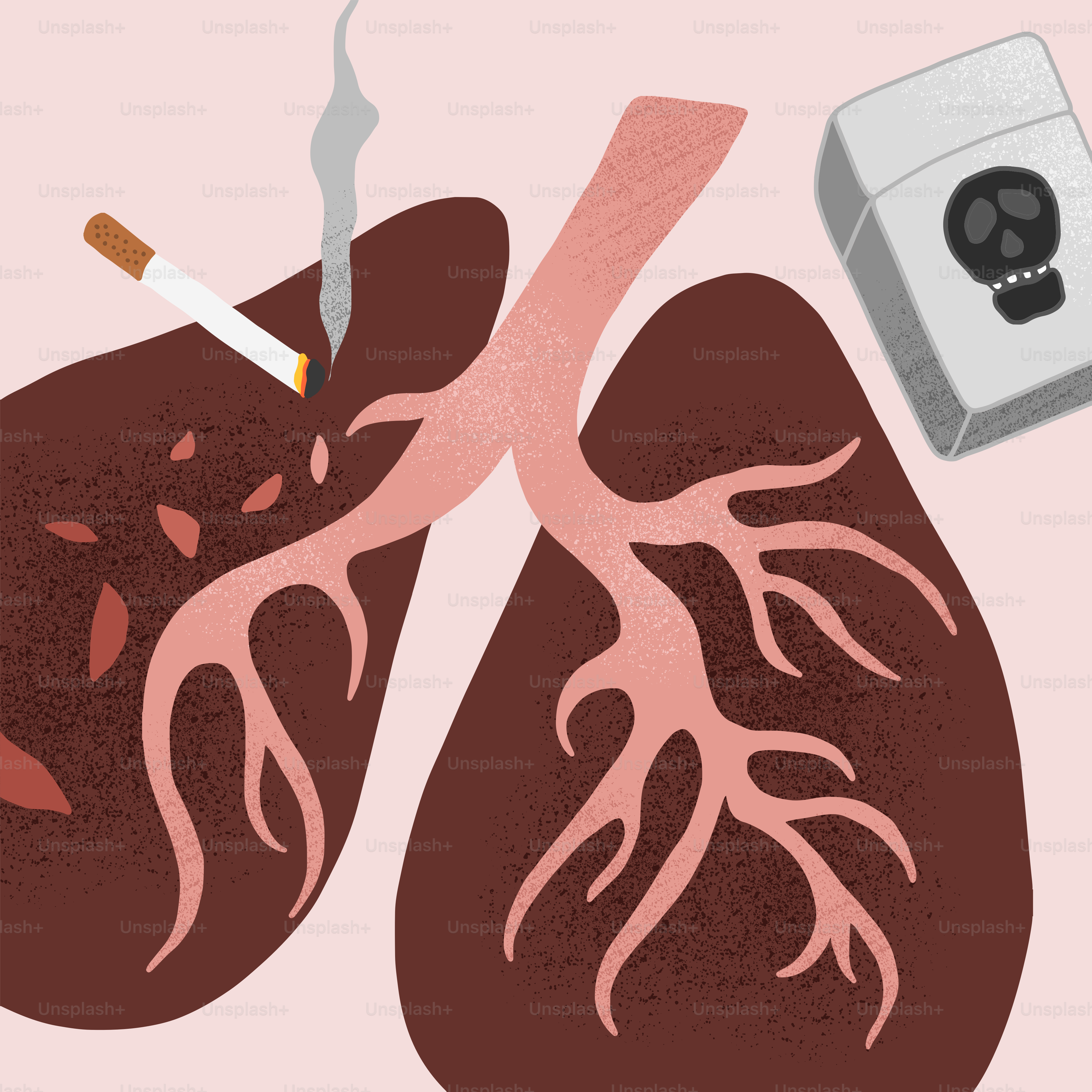 A drawing of a lung with a cigarette and a cigarette lighter vector ...