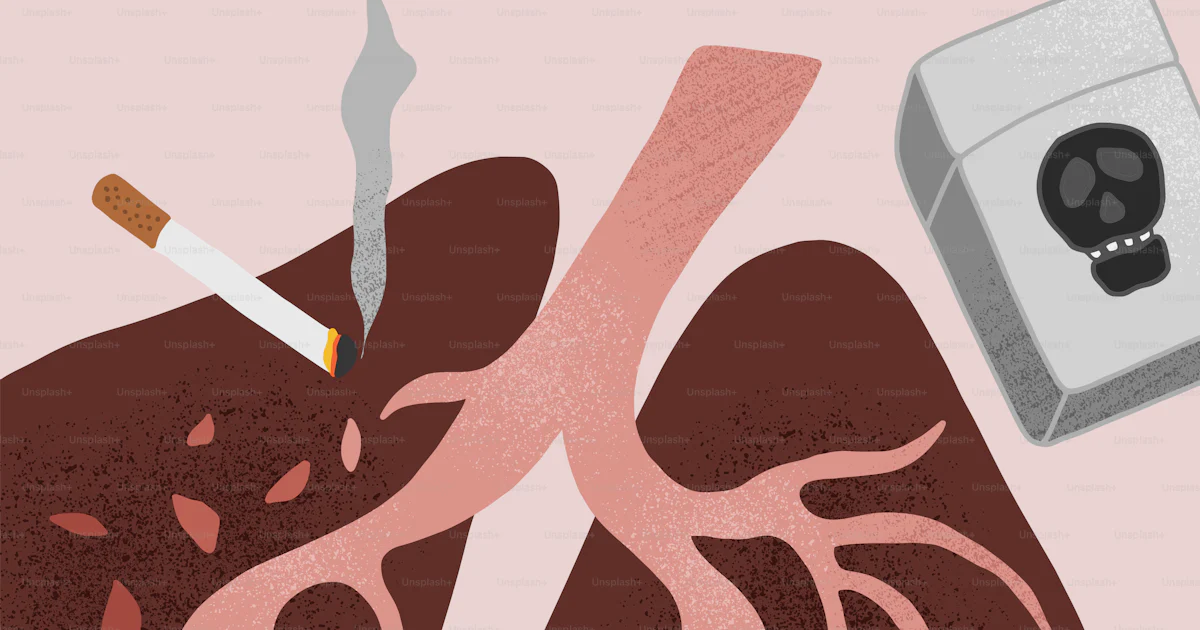 A drawing of a lung with a cigarette and a cigarette lighter vector ...