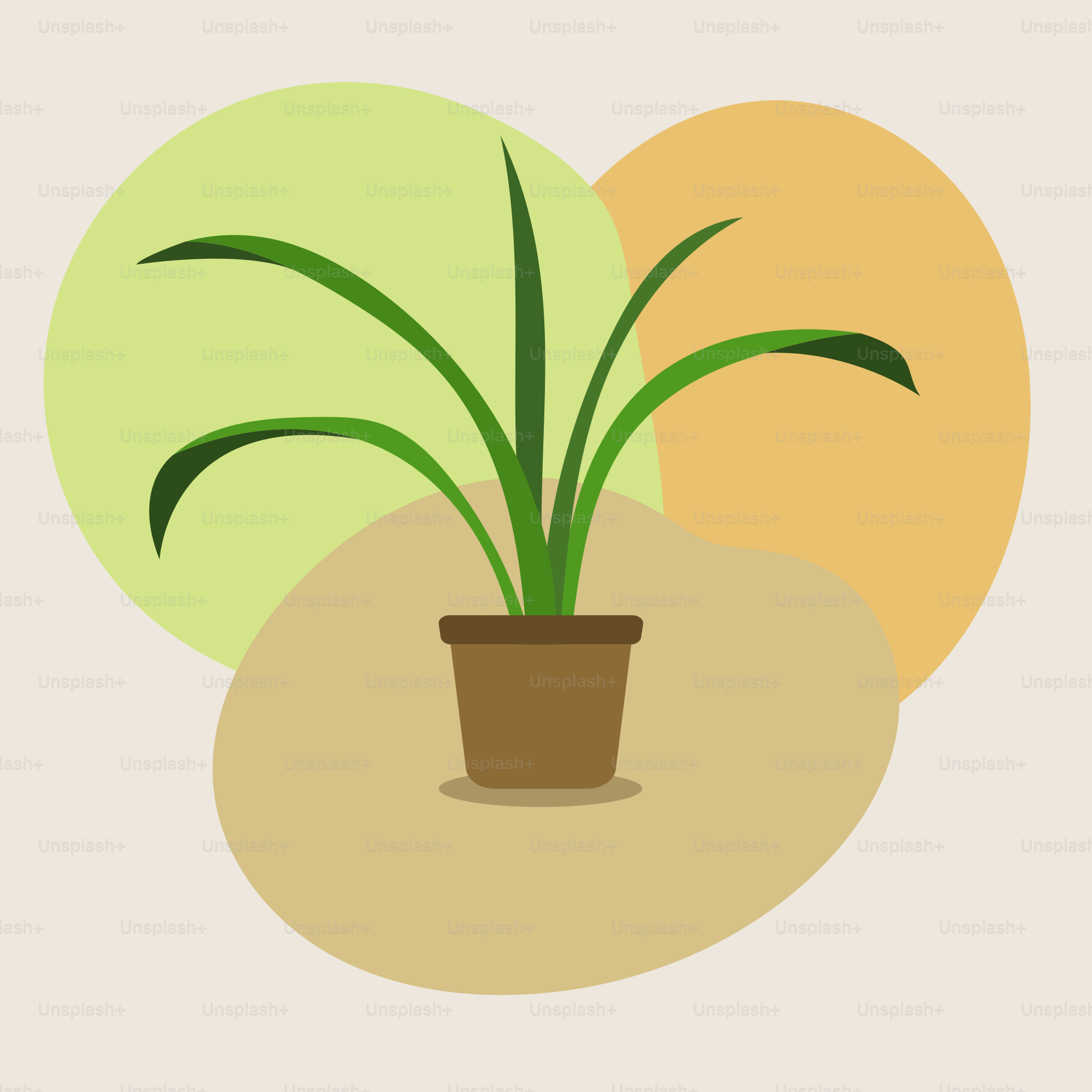 A potted plant sitting on top of a table